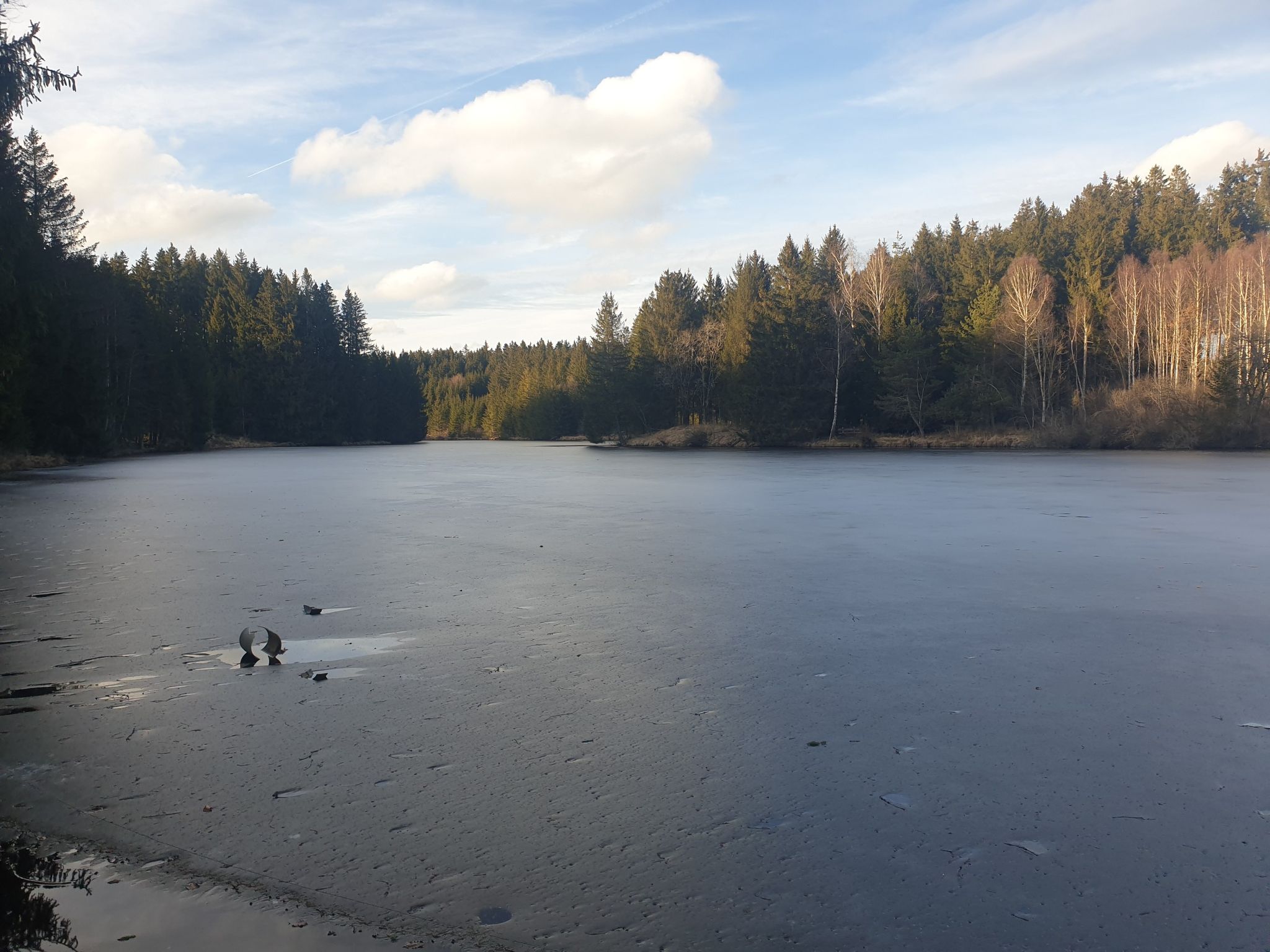 immer noch zugefroren, dwr Langer Weiher