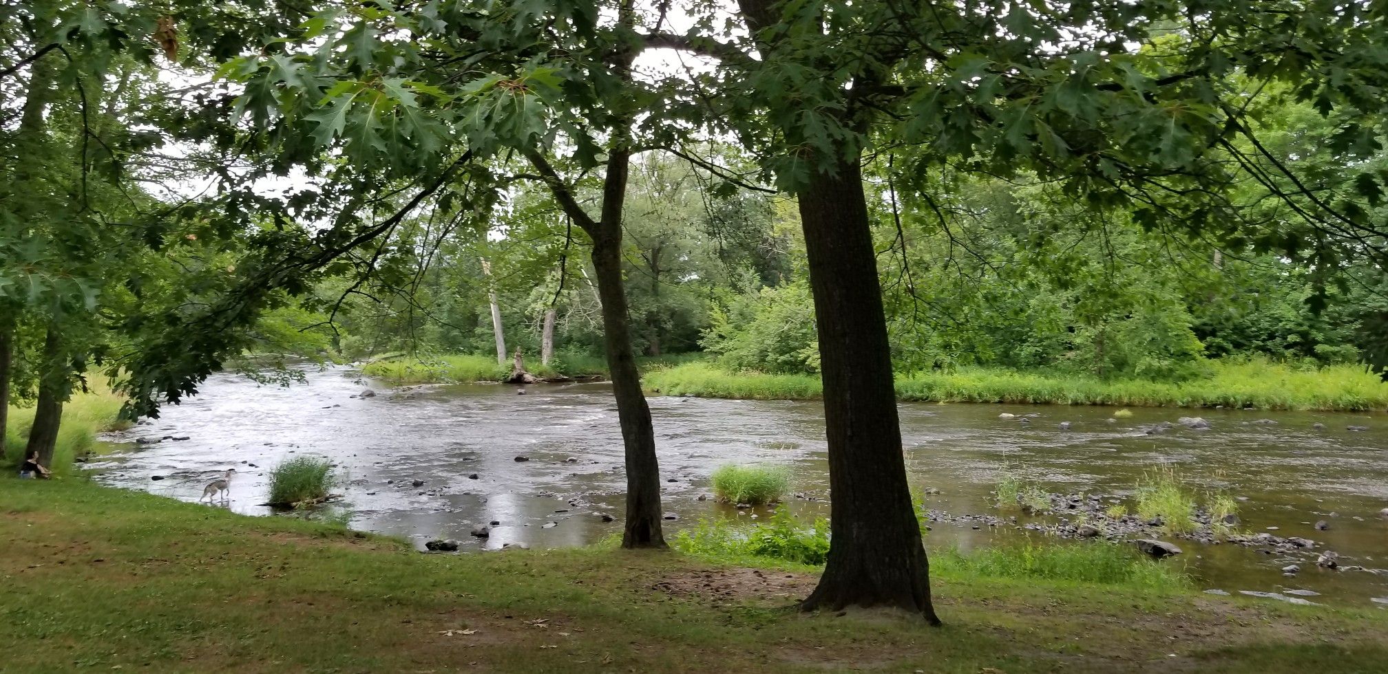 Parc 