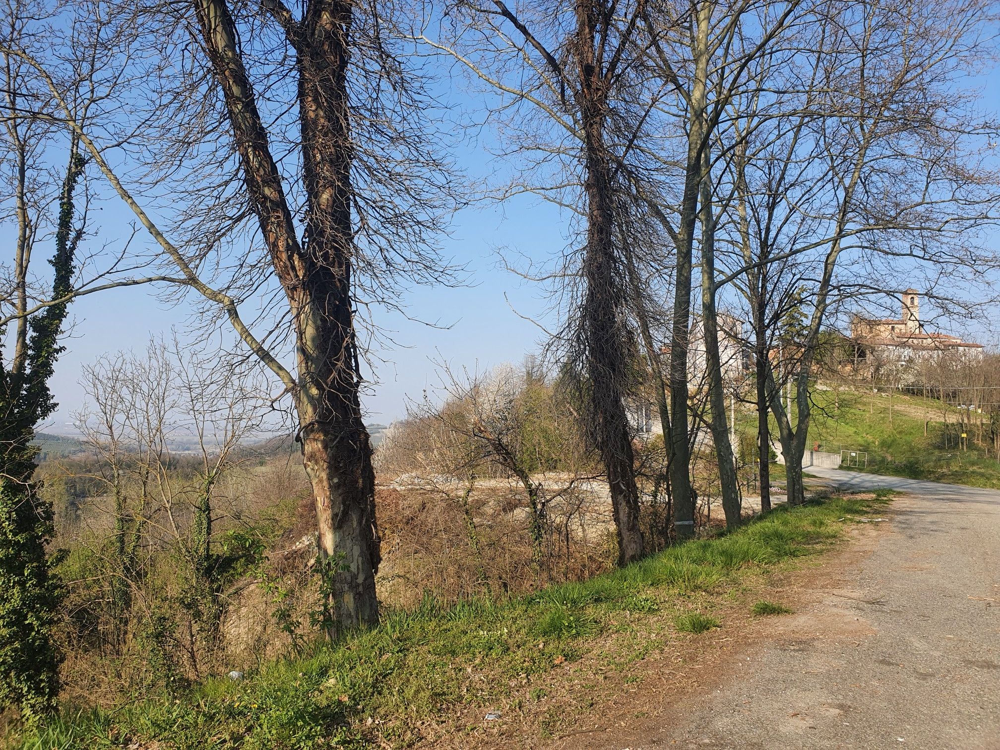 Villamiroglio