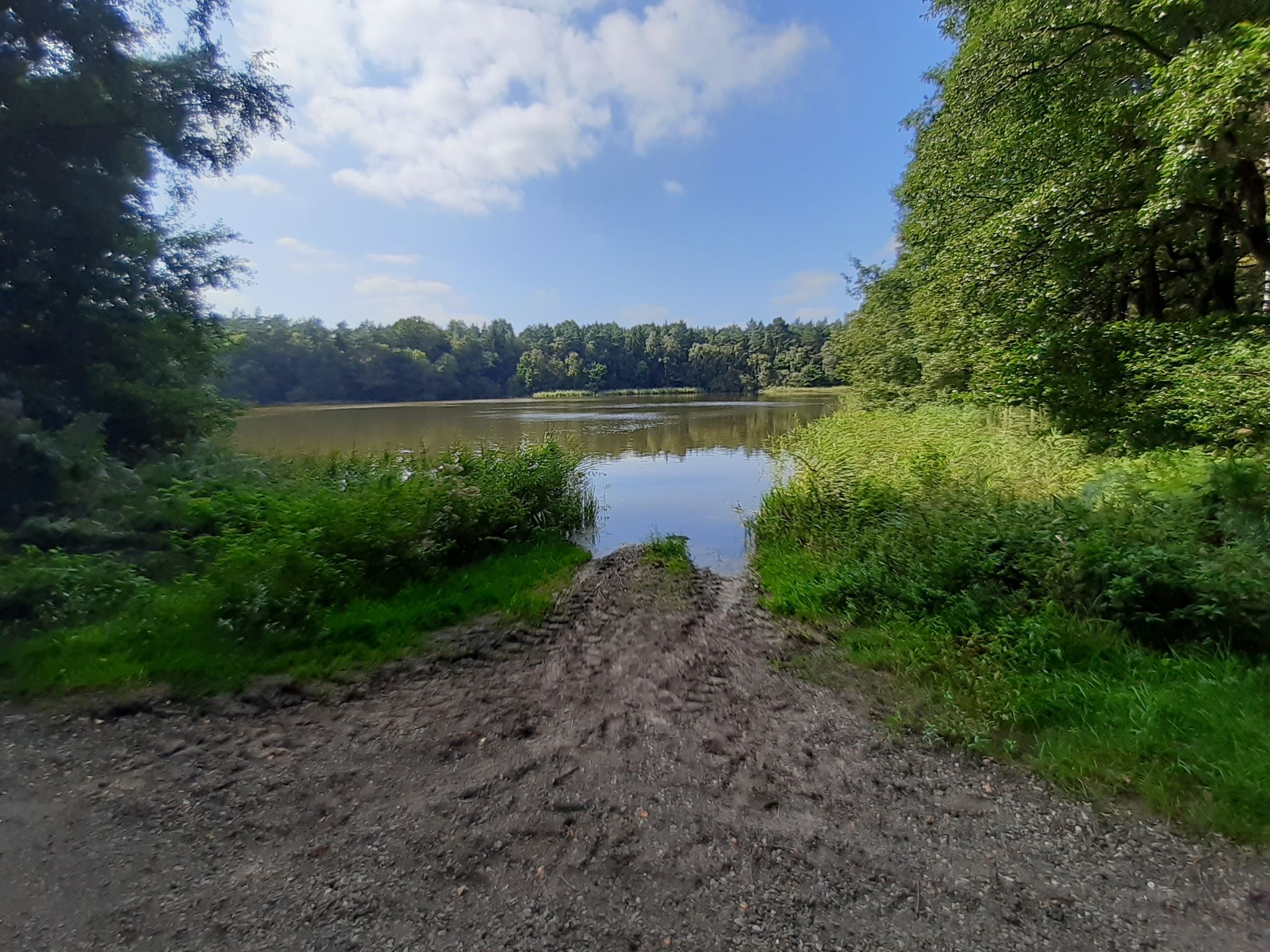 Fischteiche