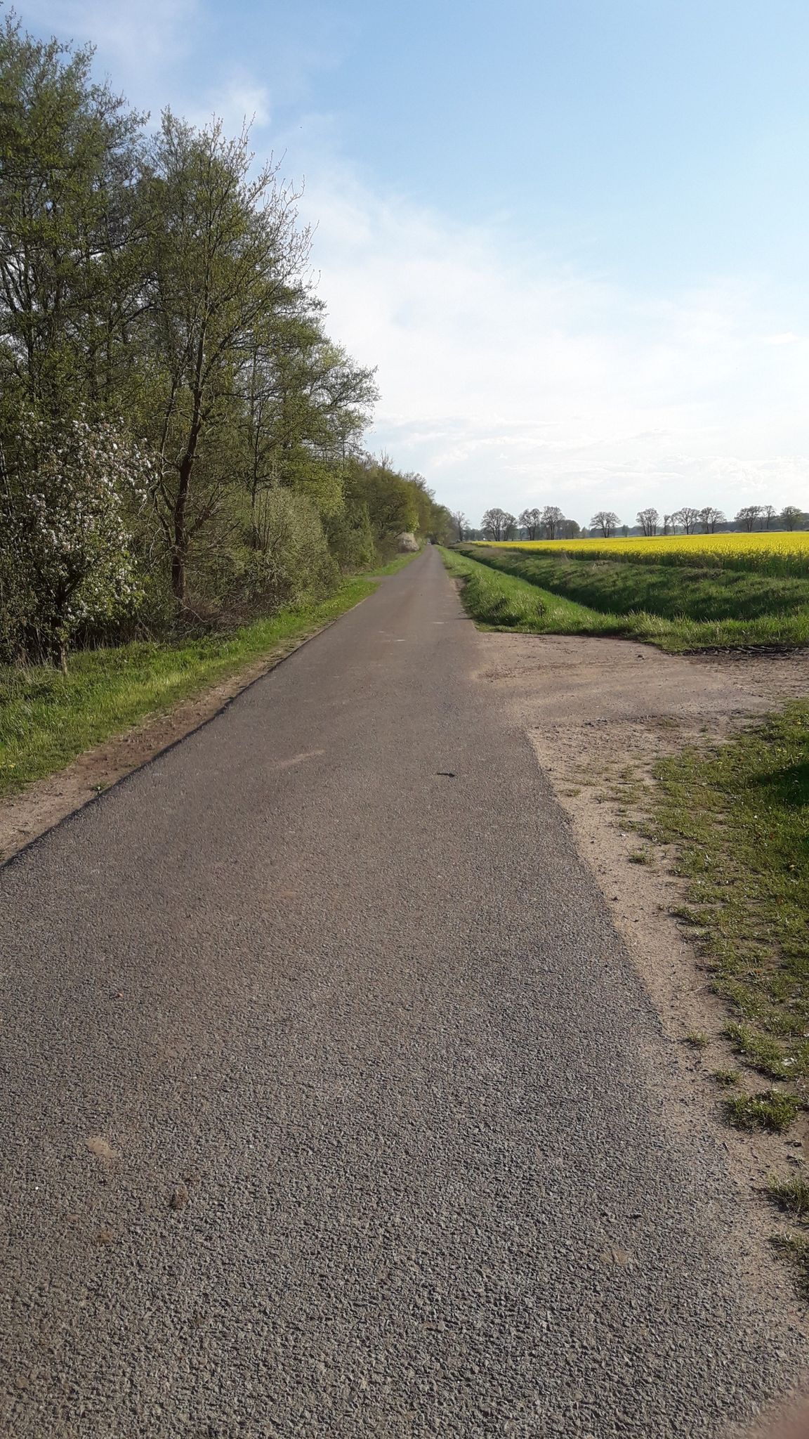 Nebenstraße zwischen Peertz und Immekath
