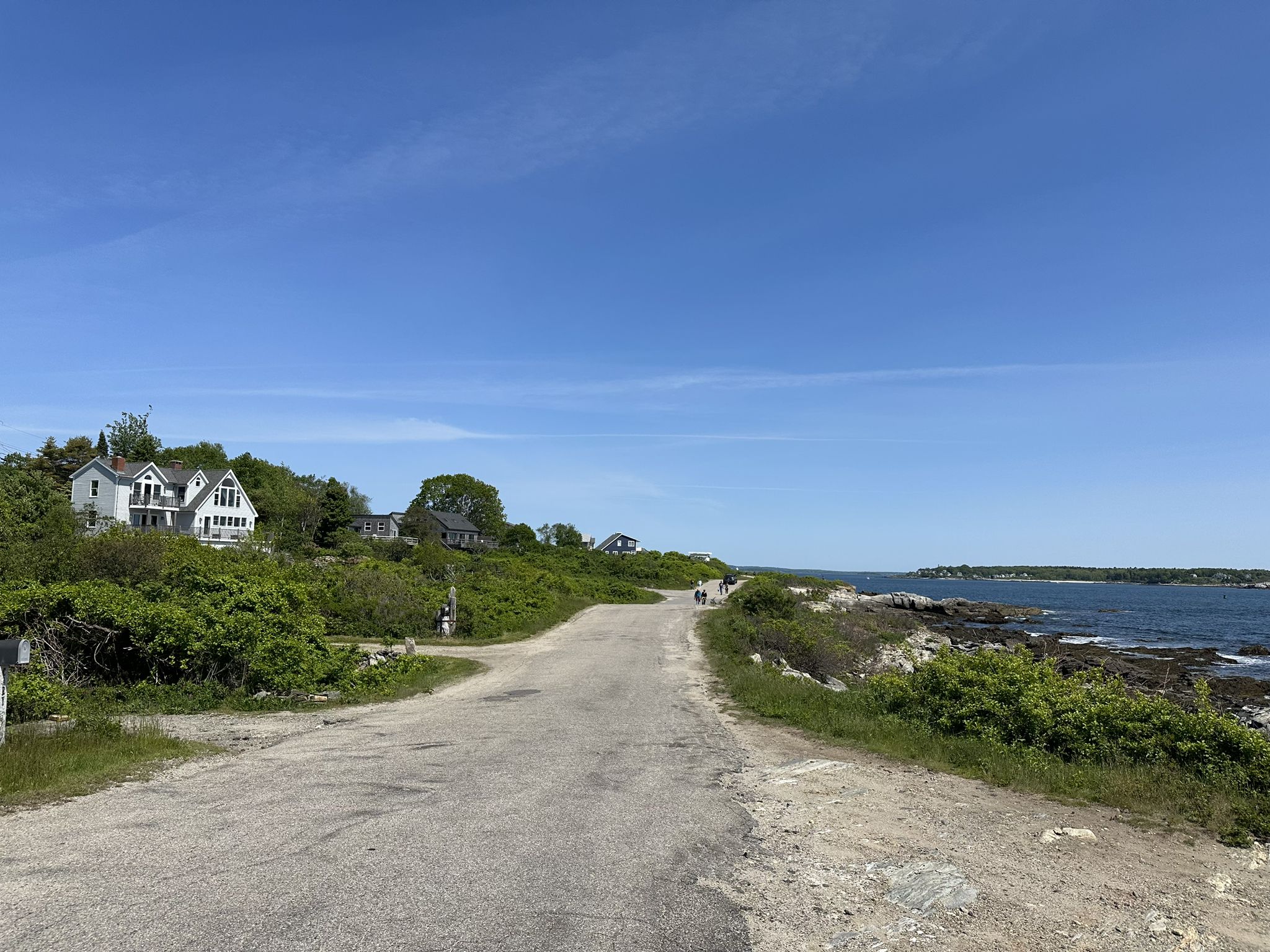 Paved road curves past white houses on a green hill beside the ocean. - Peaks Island Marina – Dog Library loop from Peaks Island