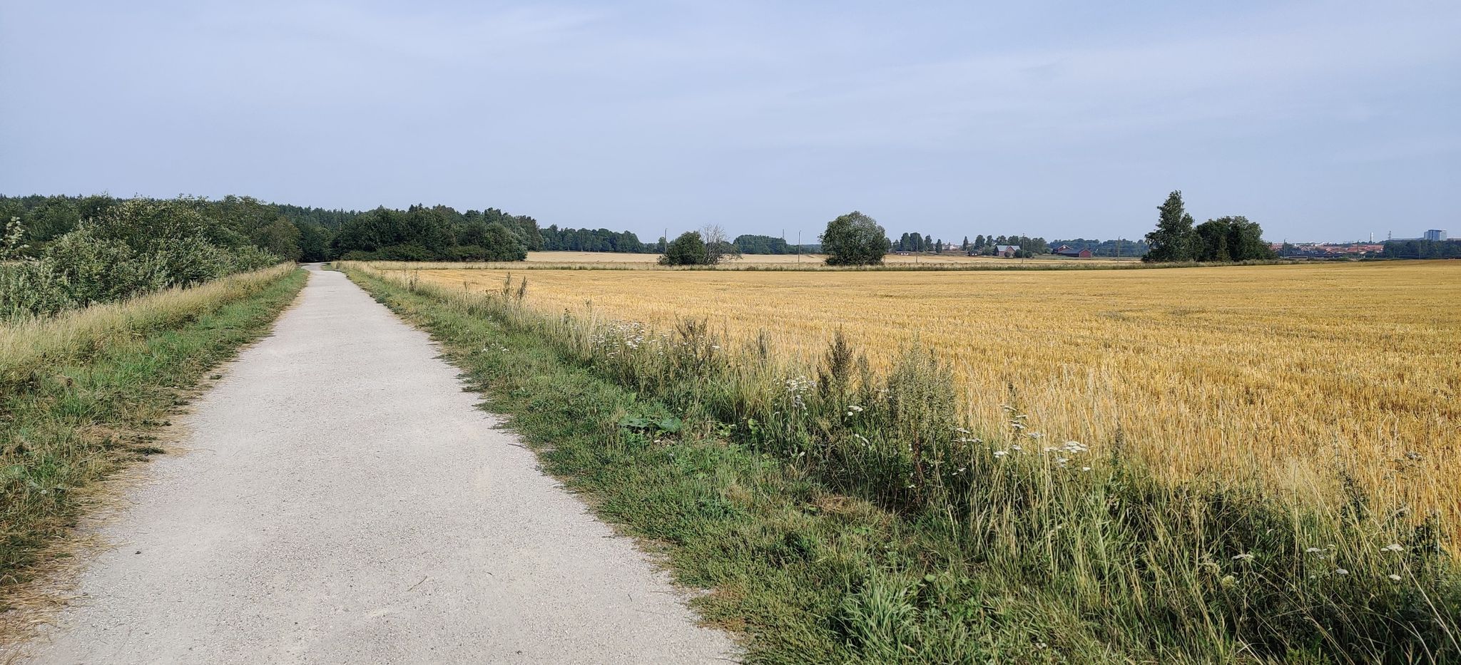 These long roads are just soo relaxing to jog