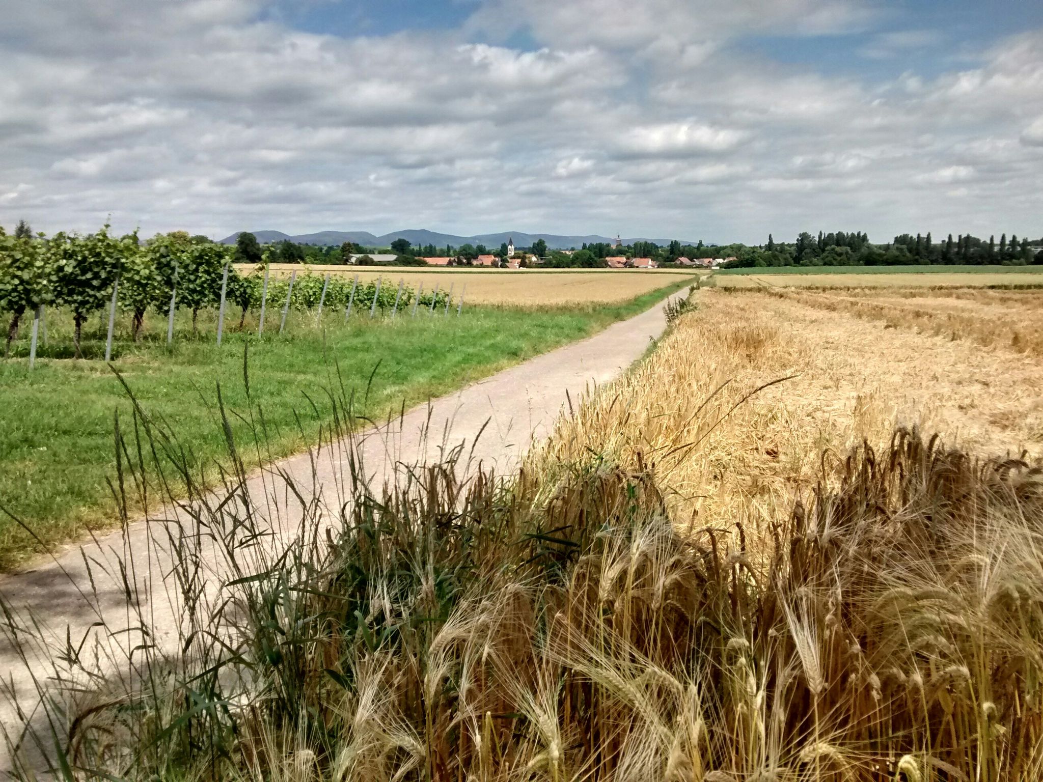 Billigheim