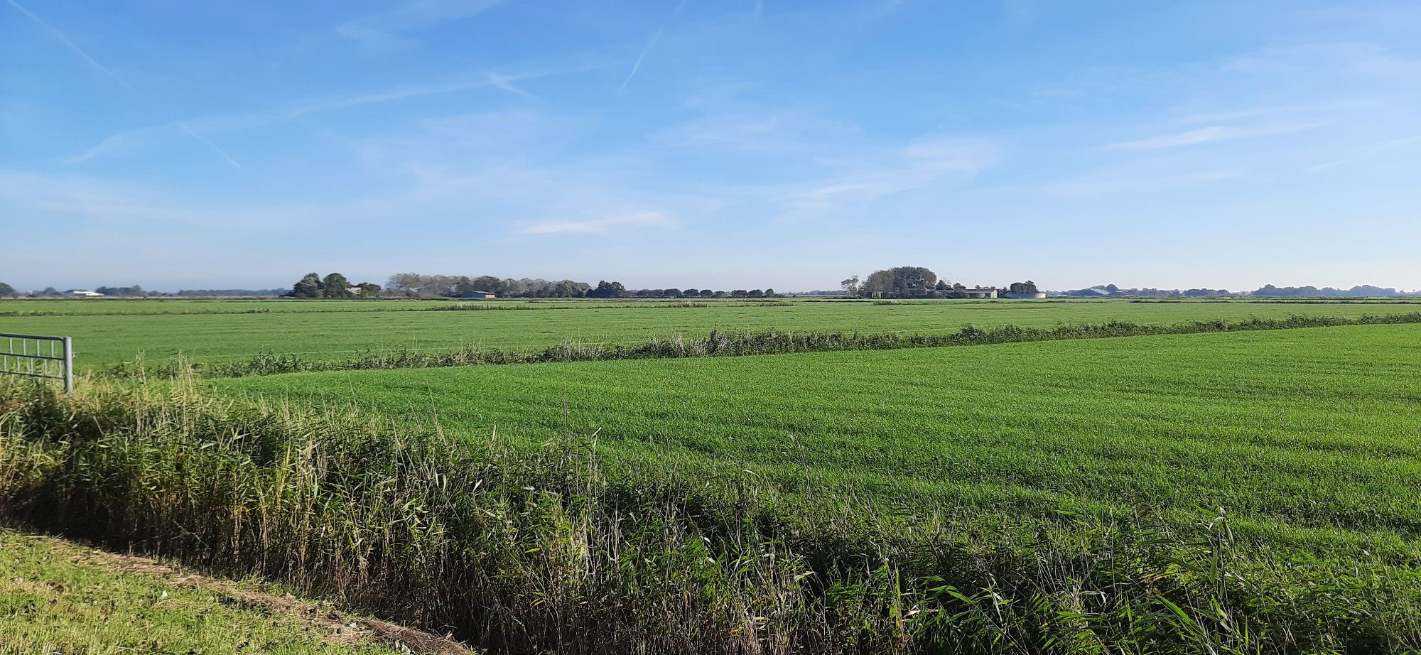 Das Hinterland von Sankt-Peter-Ording (Halbinsel Eiderstedt) hat keine Windräder!