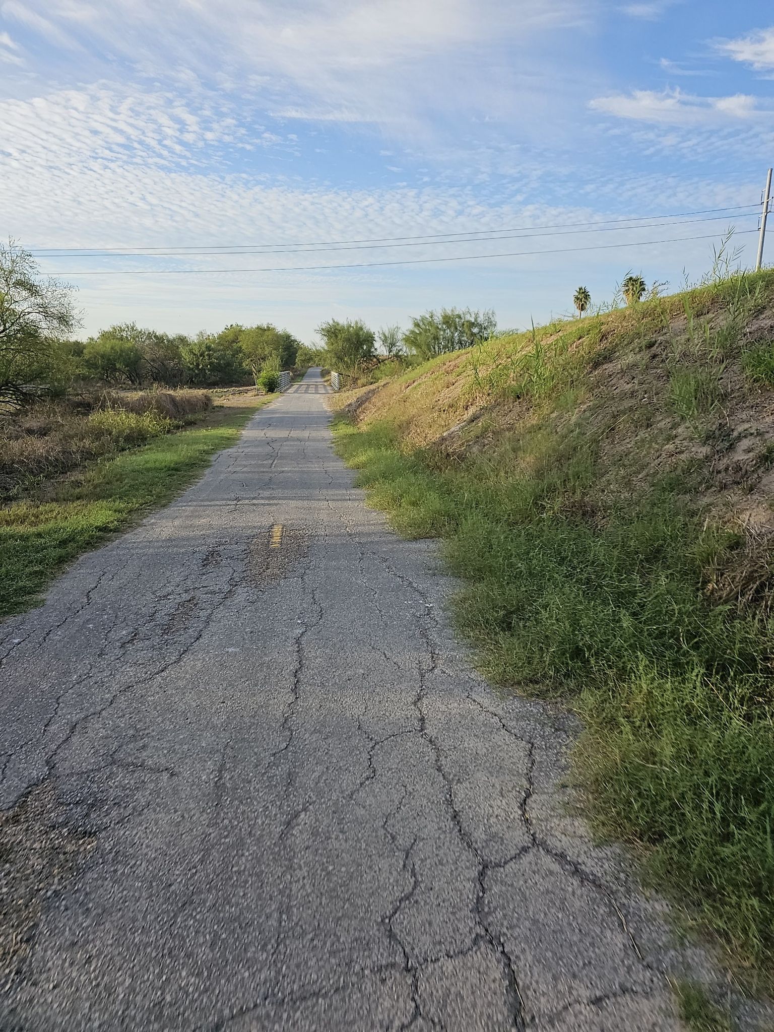 Cracked paved path winding between a grassy hill and trees on a clear day. - Parking Area with Wild Turkeys loop from SMT Mission LLC