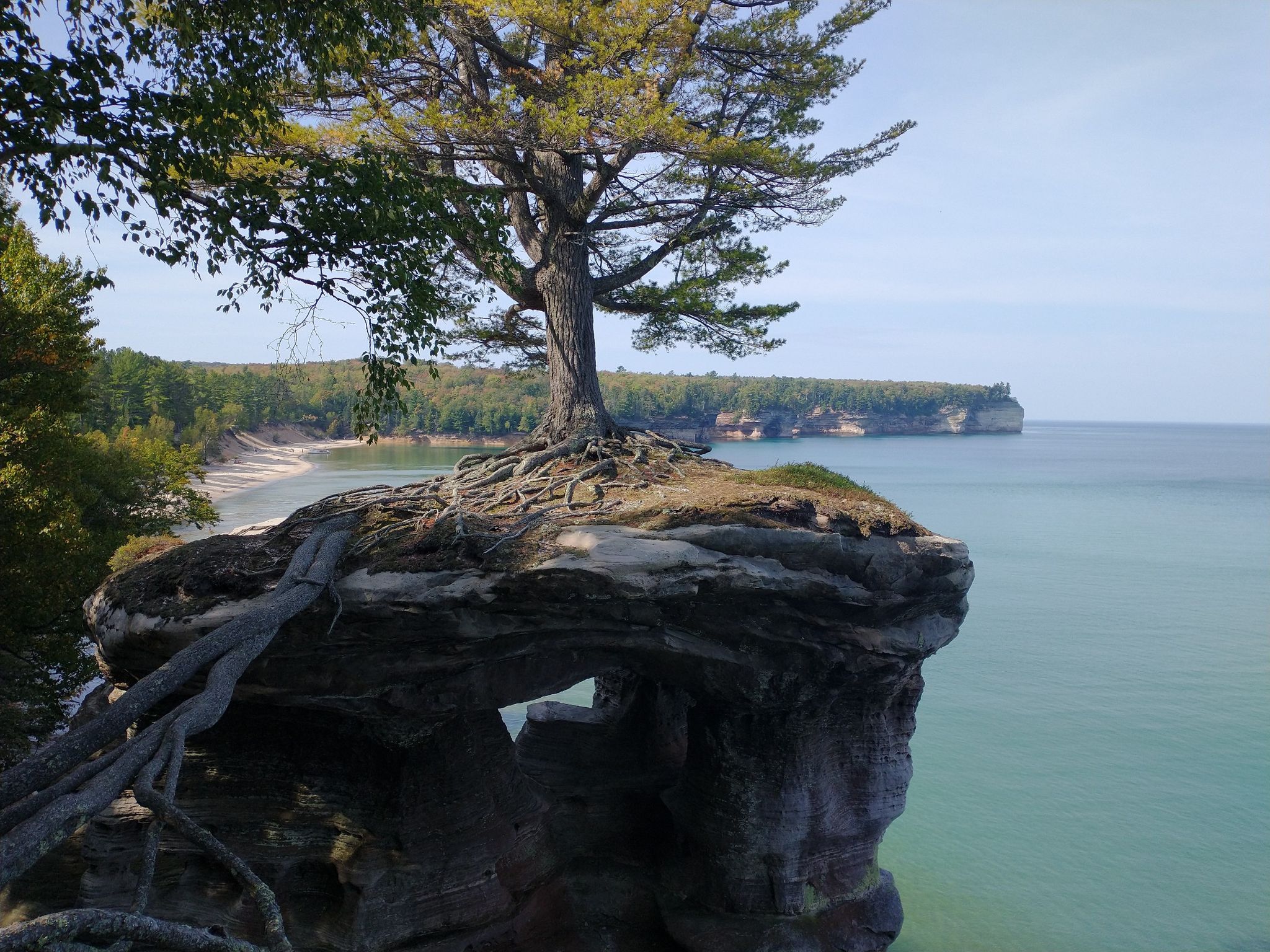 Tree with exposed roots on a rocky cliff overlooking clear blue water. - Chapel Rock Trail