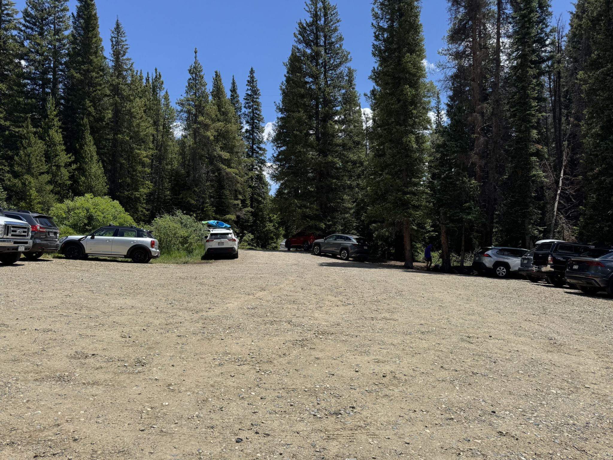 A sunny dirt parking lot with cars surrounded by tall pine trees. - Sugarloaf Mountain via Colorado Trail