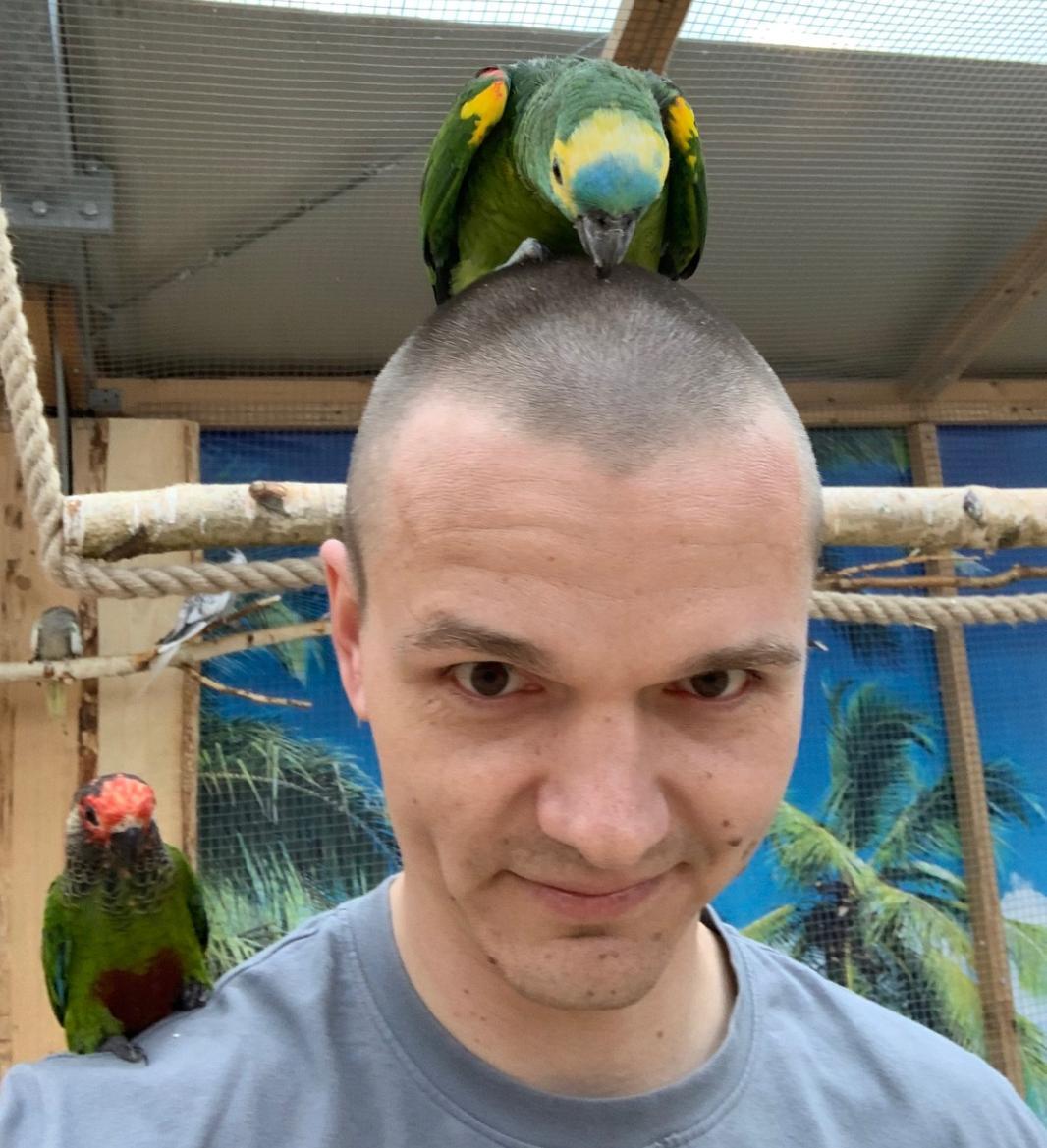 user avatar