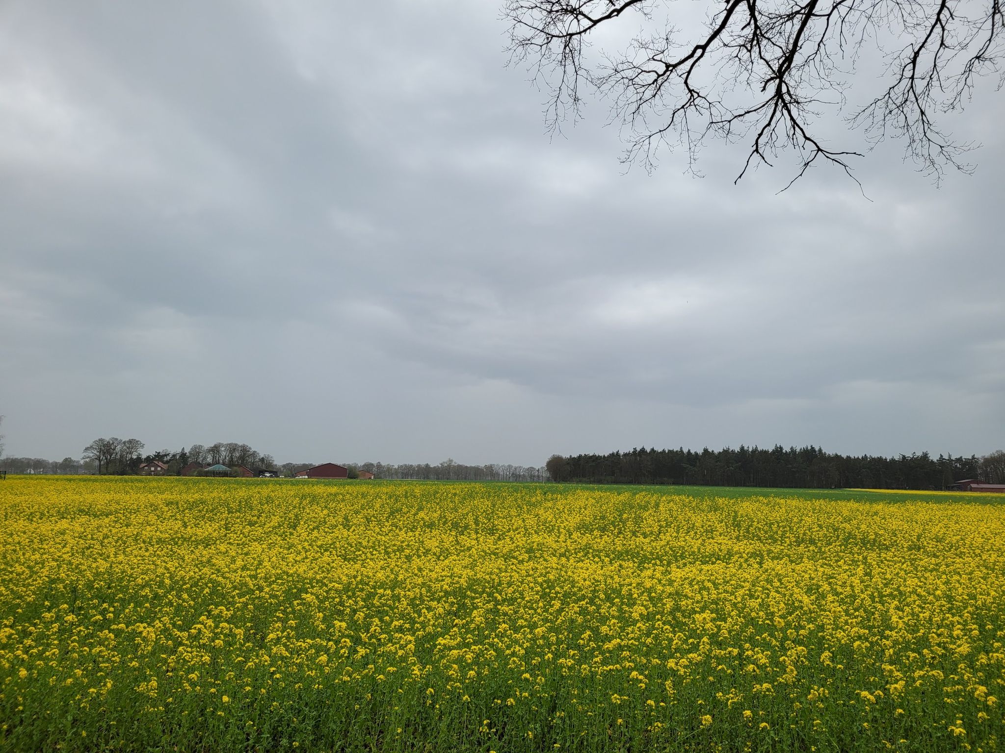 Zum Glück regnet es wieder...