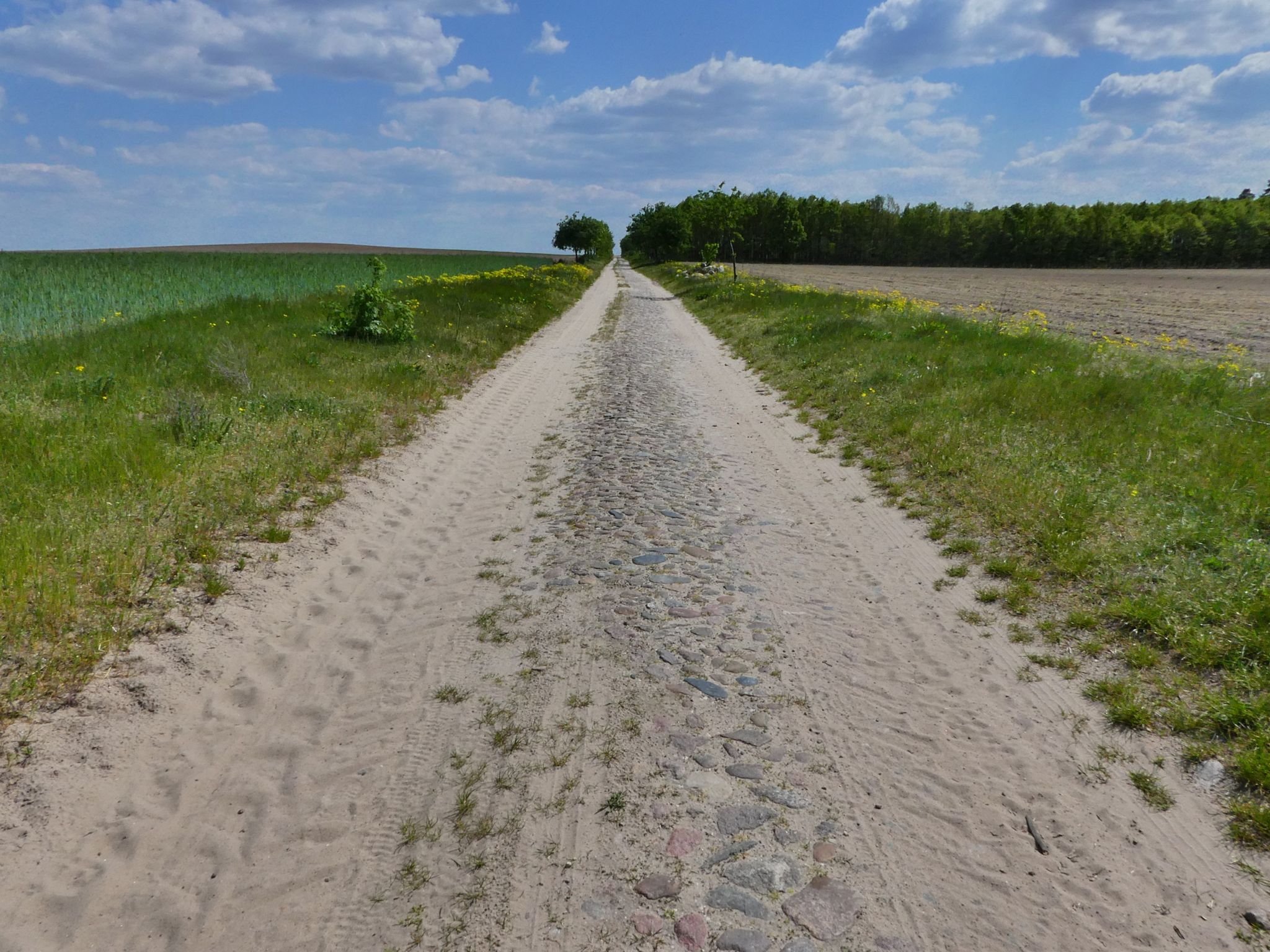 Sandiges Kopfsteinpflaster gefällig?