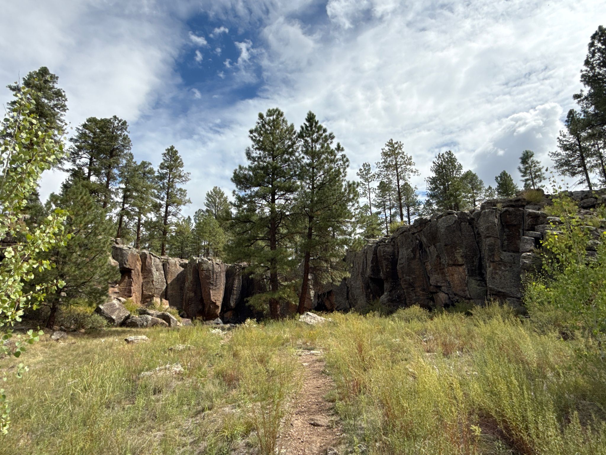 Dirt path through a grassy field with pine trees and rock formations. - Keyhole Sink Trail