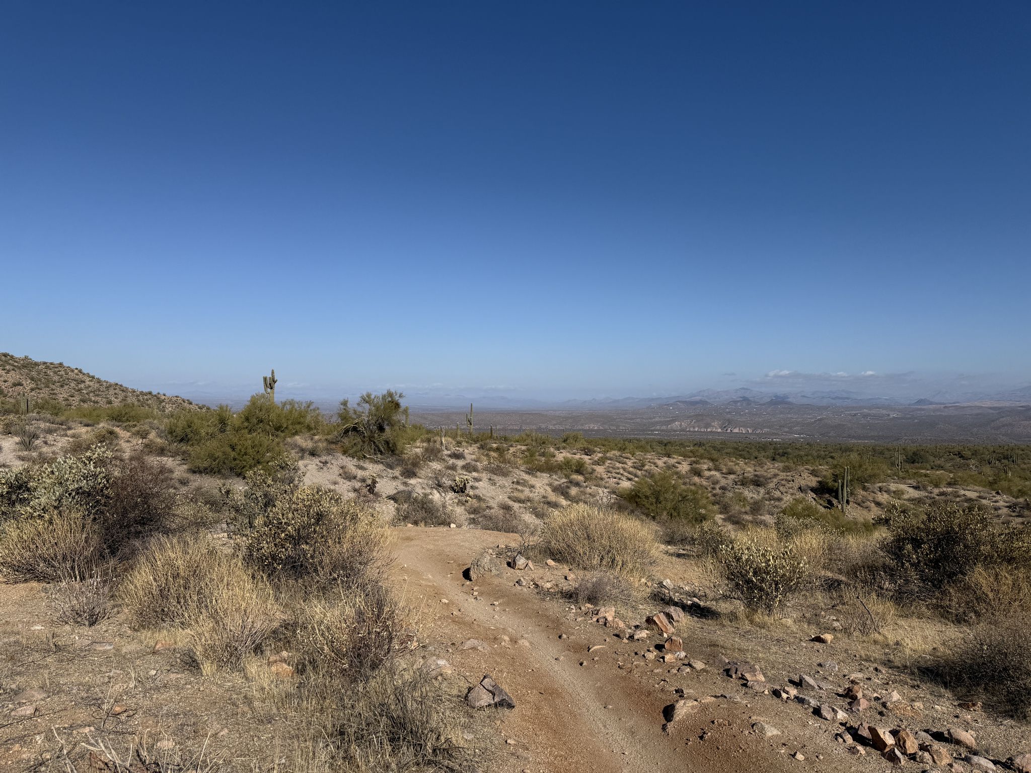 Sunny desert trail through flat, rocky terrain with distant mountains under clear sky. - Usery Mountain via L'Alpe d'Huez Trail