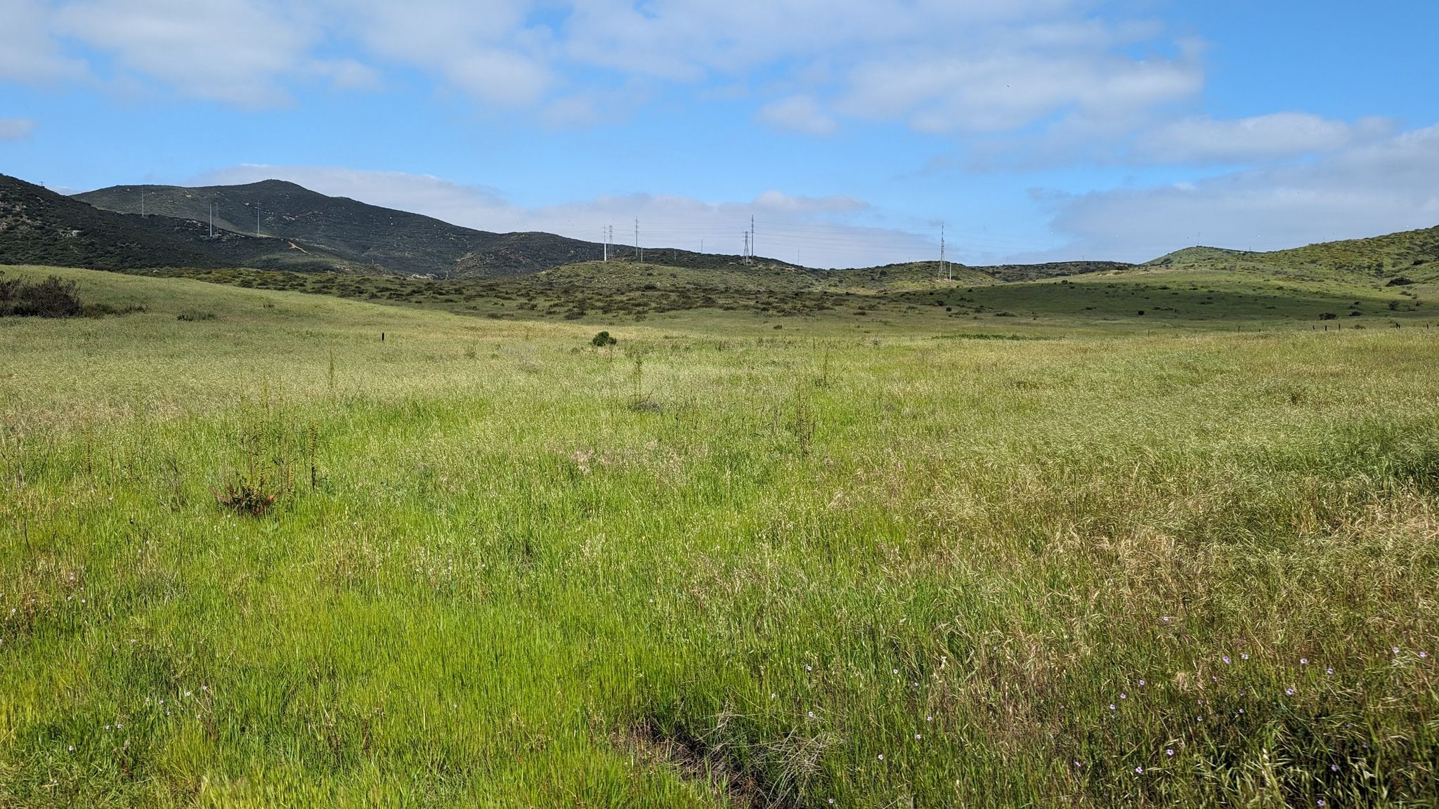 Vast green field under a bright blue sky, with distant rolling hills. - San Diego River Crossing – Old Mission Dam loop from Navajo