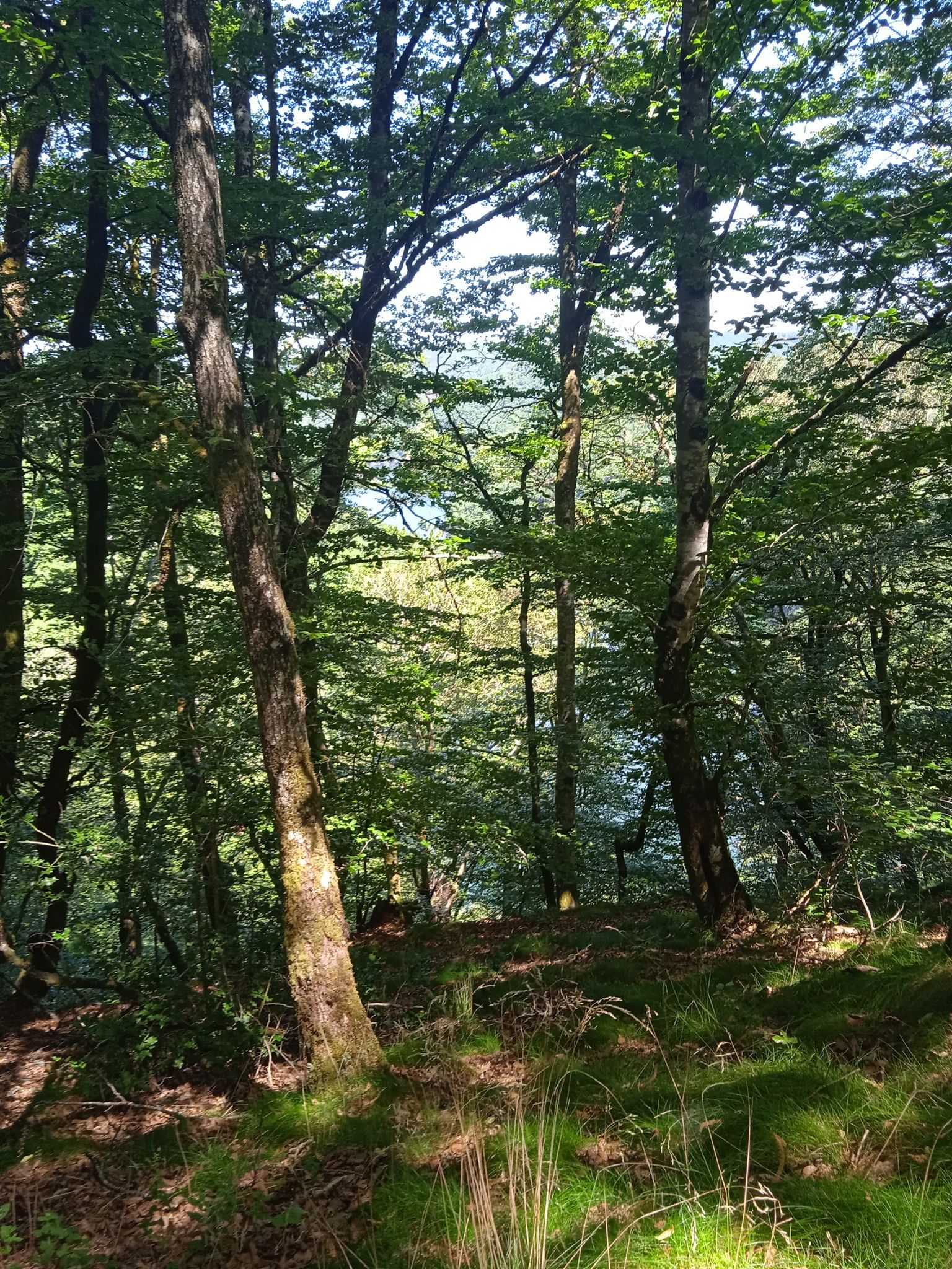 vue sur le lac