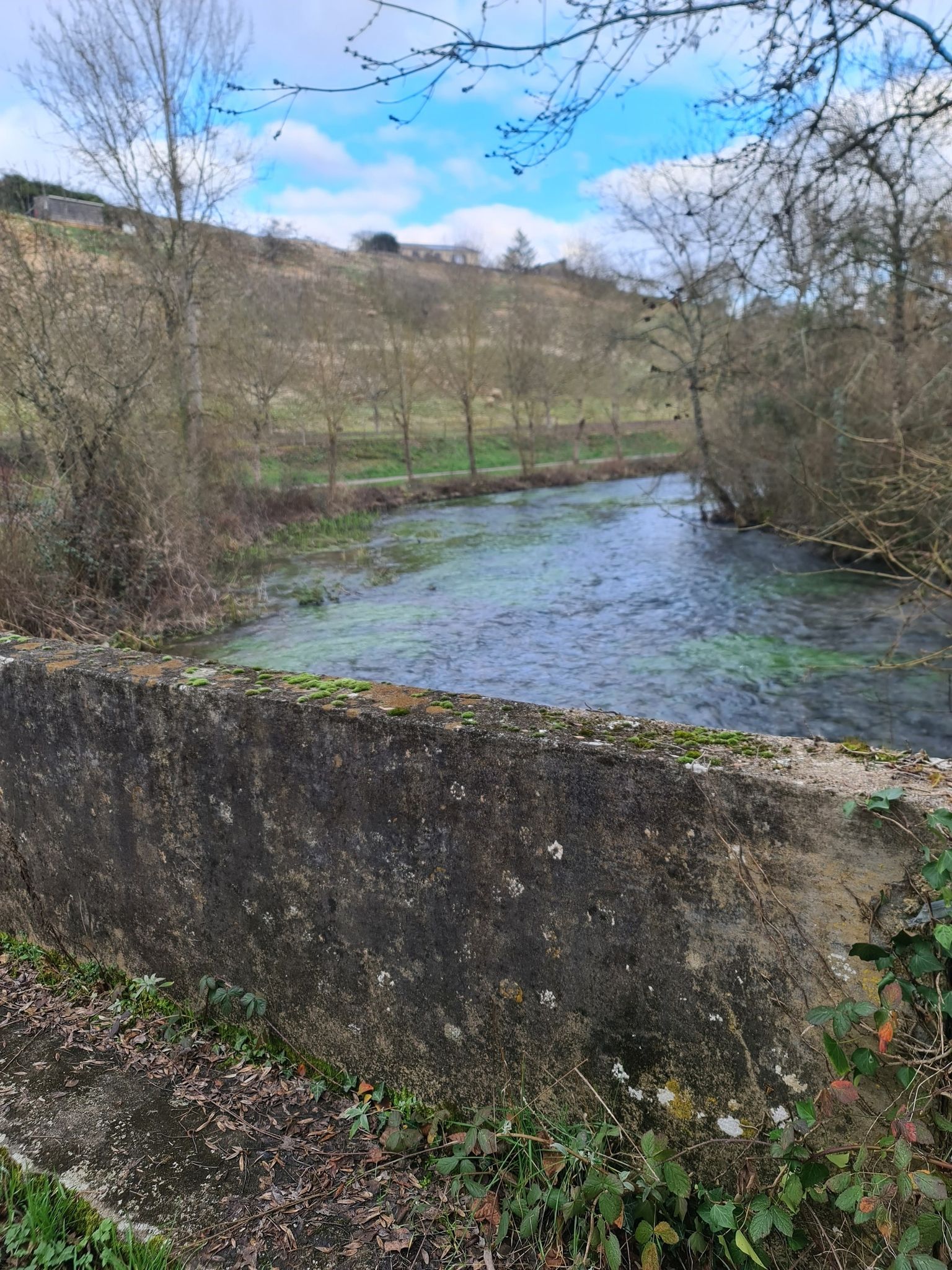 Moulin neuf