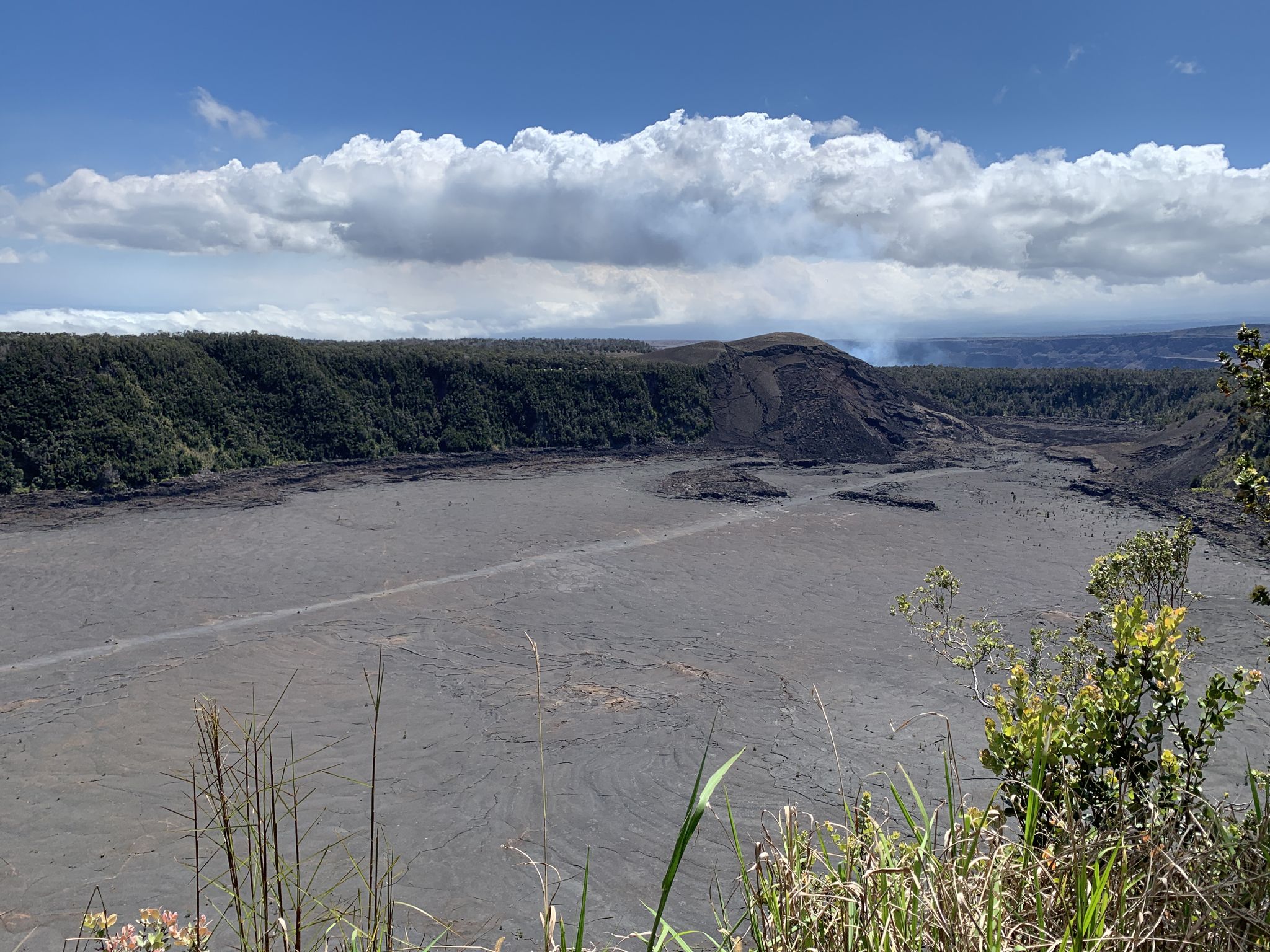 Vast, dark volcanic plain with green forest edges under a cloudy sky. - Kīlauea Iki Crater via Crater Rim Trail Loop – Hawai‘i Volcanoes National Park