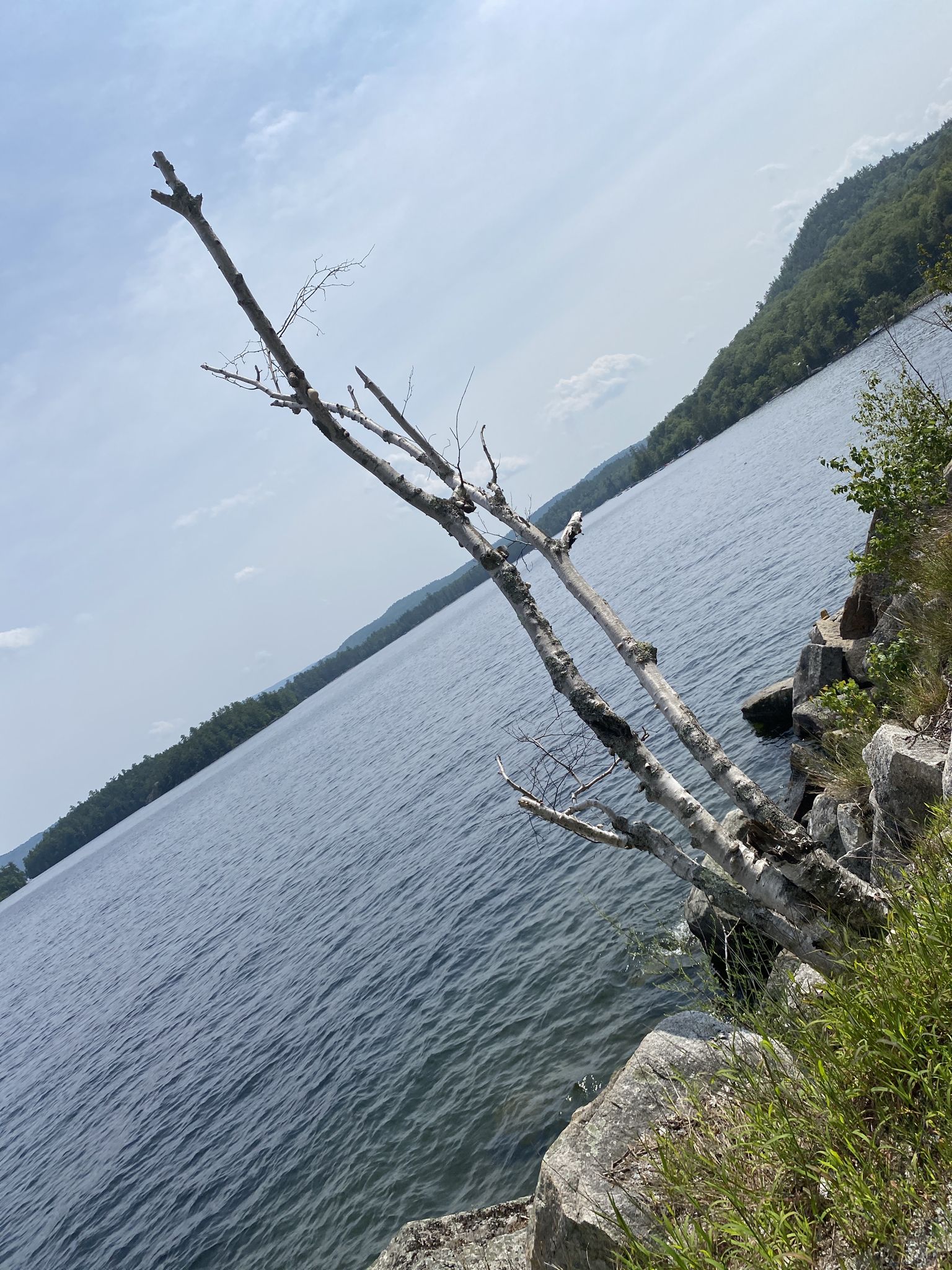 Dead tree branches extend over a calm lake with distant green hills. - Newfound Lake loop from Groton via West Shore Road