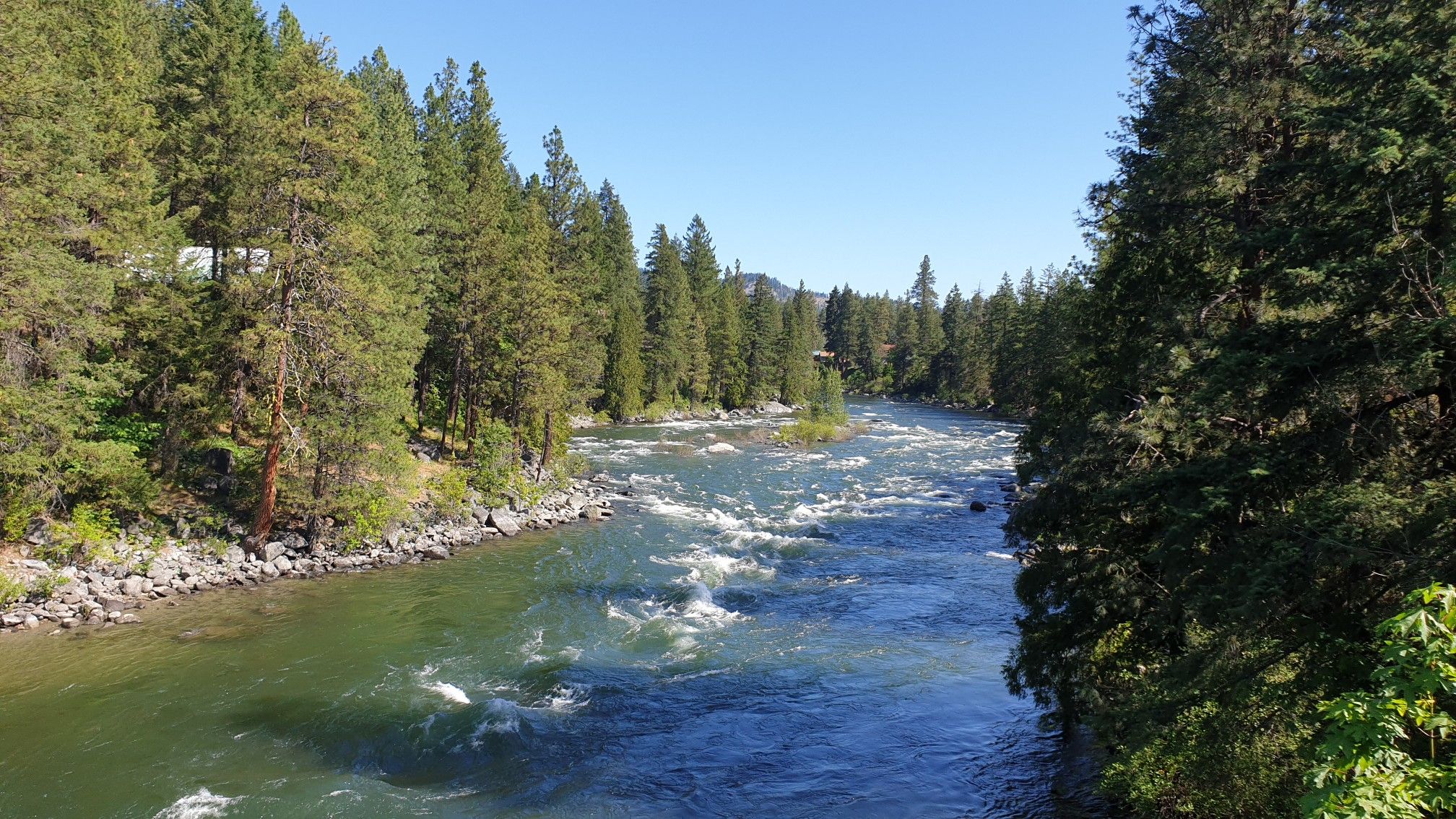 A wide, rushing river flows between dense pine forests on a sunny day. - Icicle Road – Icicle Road loop from Snow Lakes