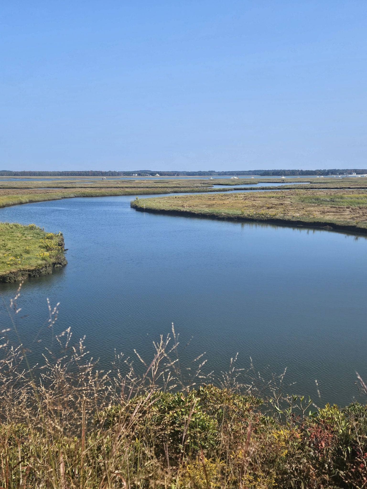 A winding blue river flows through expansive green marshland under a clear sky. - Bayley's Lobster Pound – Surfside Beach loop from Blue Point Preserve