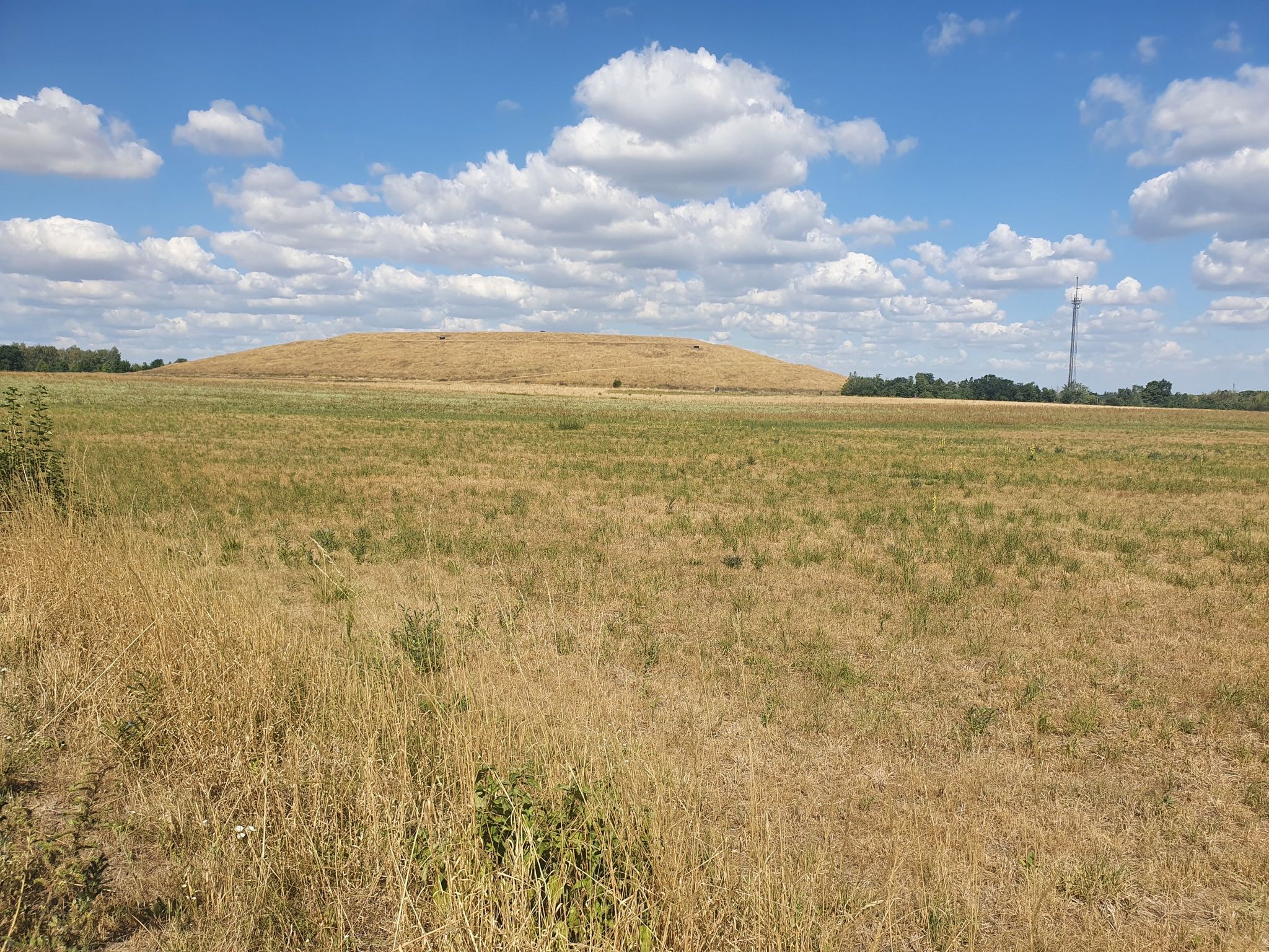 Verborgene Abfälle der Großstadt