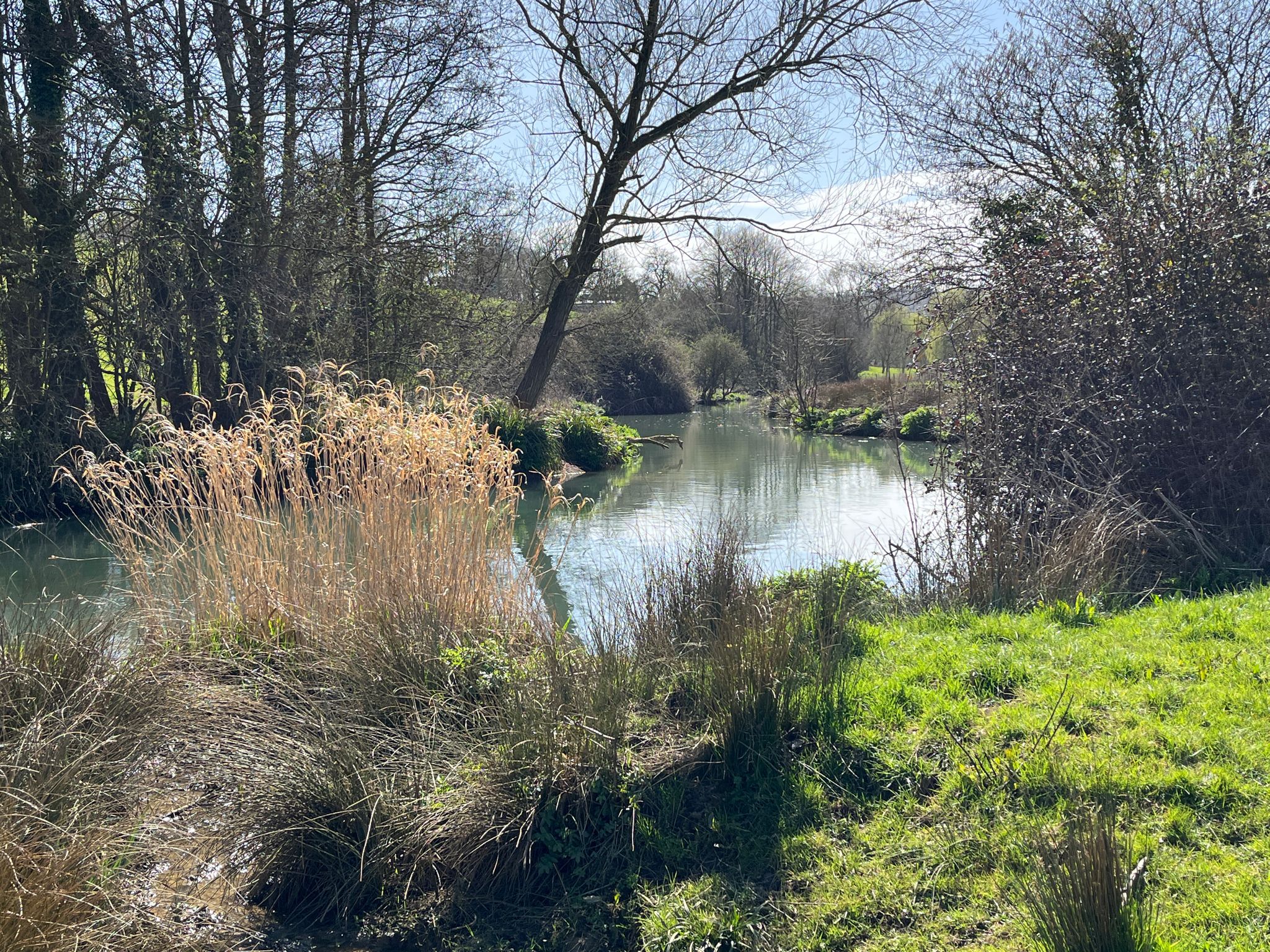 the brook looks beautiful in the sun