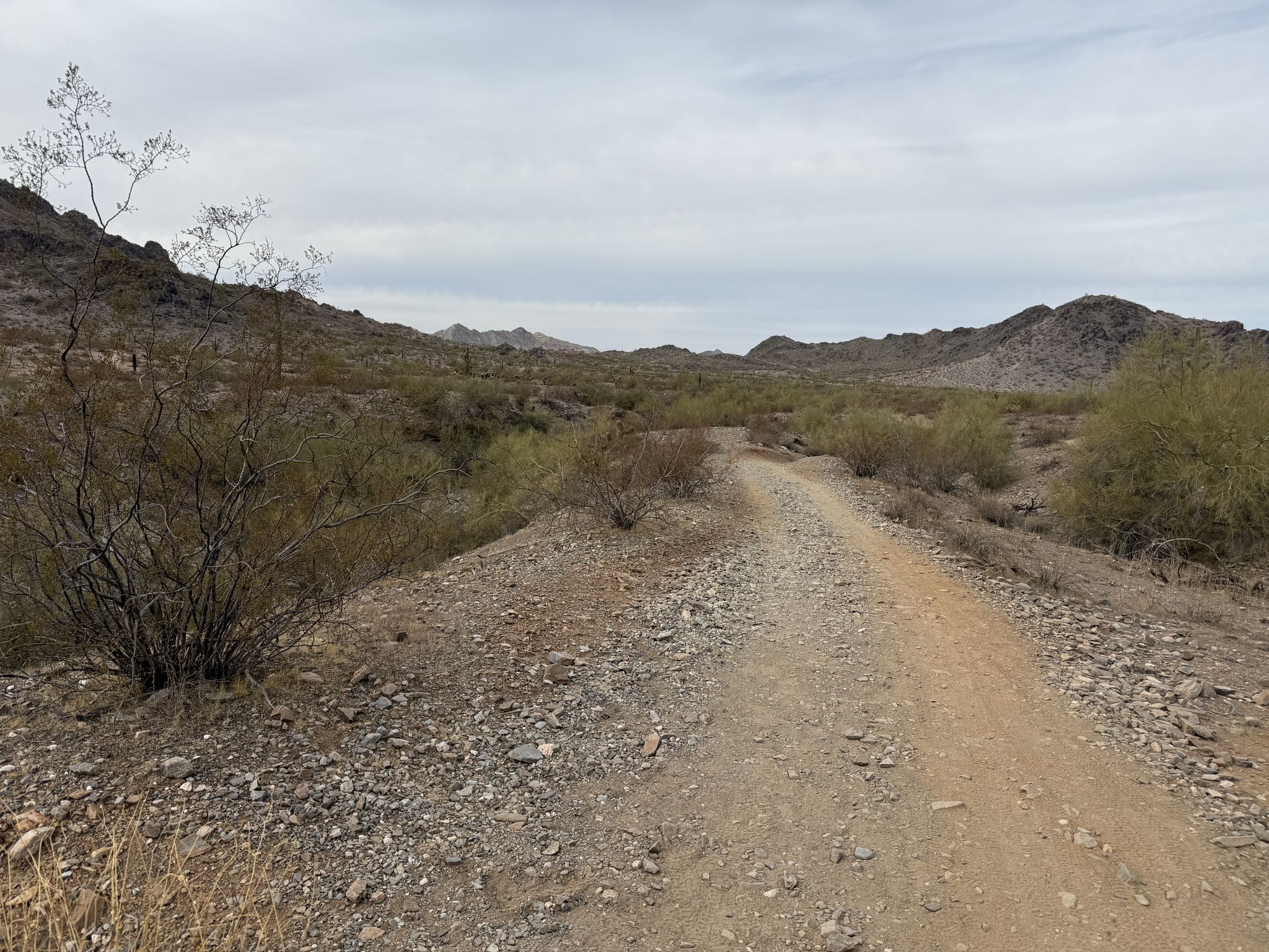 A wide dirt road winds through a desert landscape under an overcast sky. - Quartz Ridge and L.V. Yates Loop