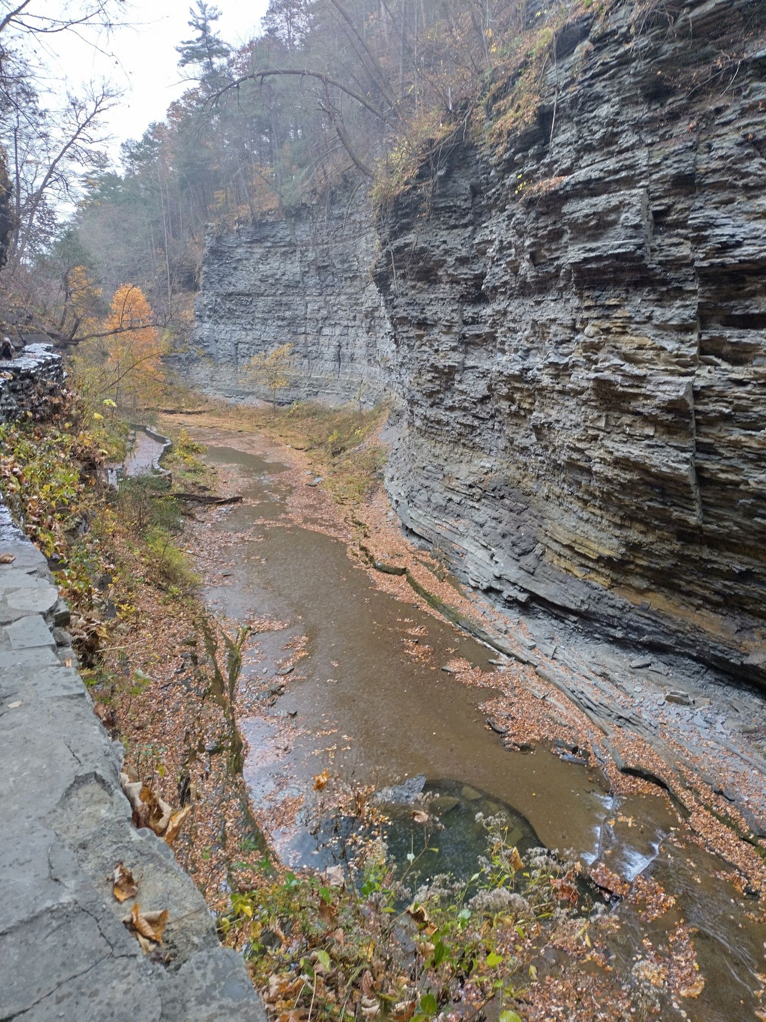 Gorge with shallow stream, autumn leaves, and tall rock walls, overcast. - Rainbow Falls – Suspension bridge loop from Watkins Glen