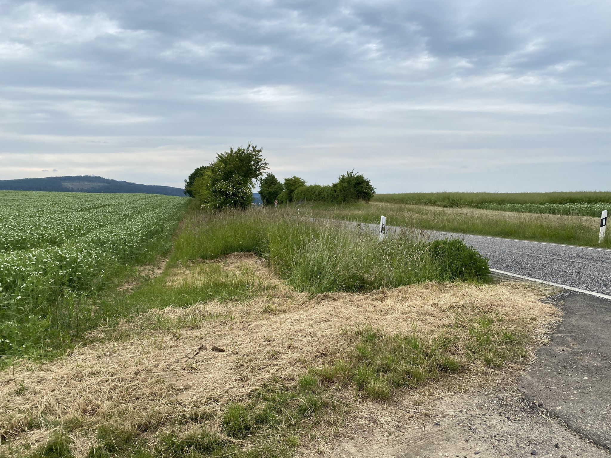 Panoramaweg / möglicher Radweg