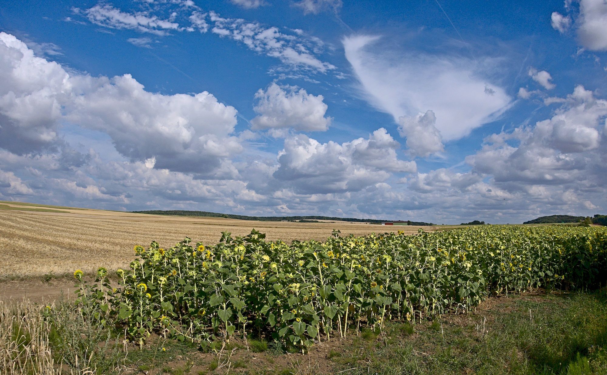 Kräftiger Westwind mit tollen Wolkenformationen
