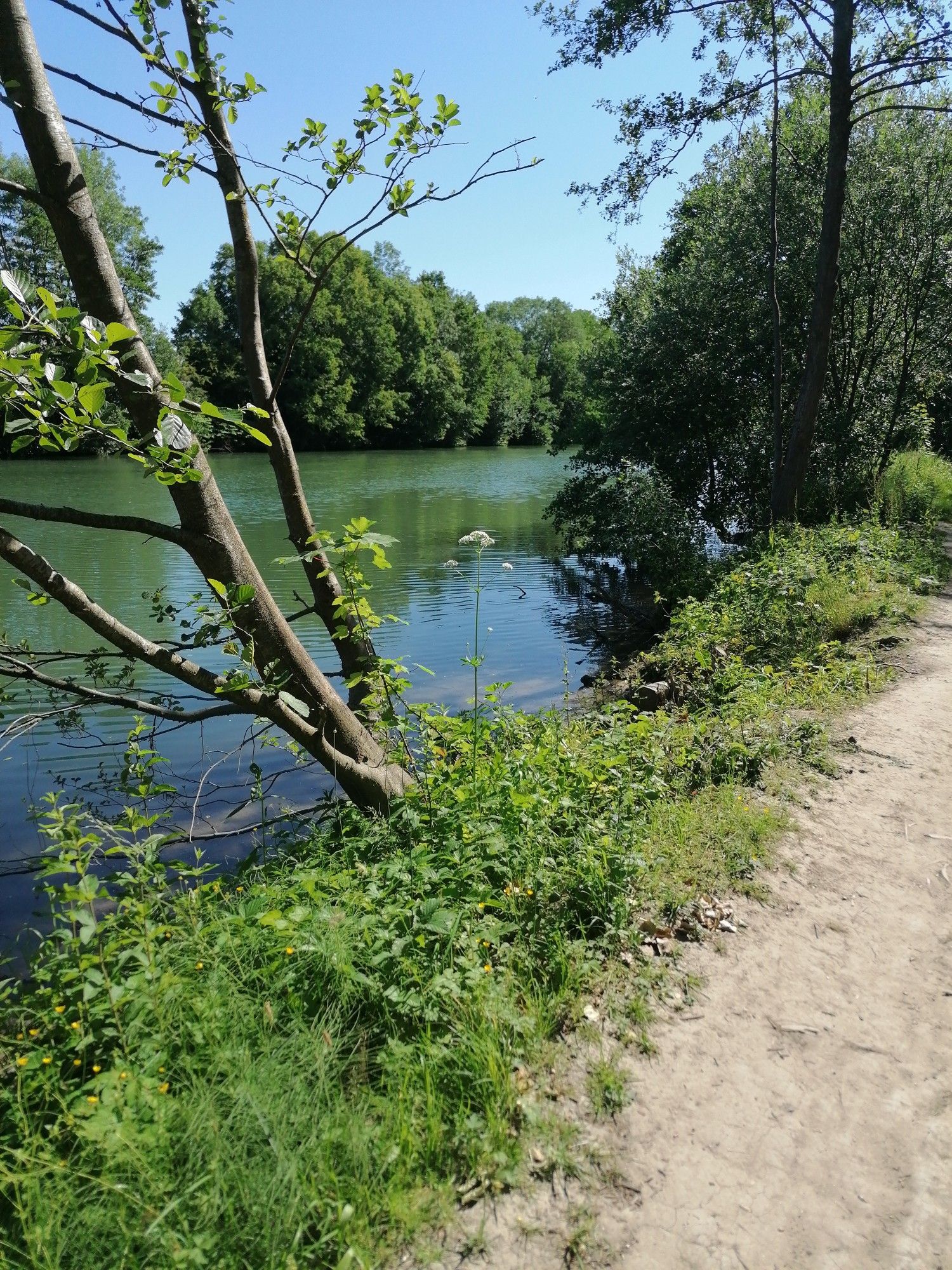 Le bord de l'Aisne 