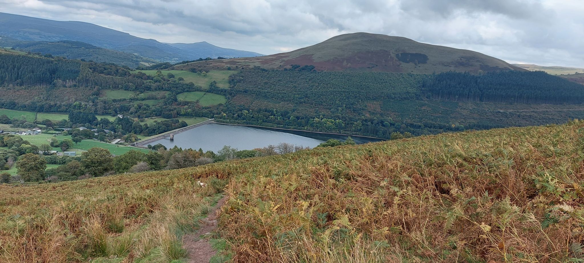 Talybont