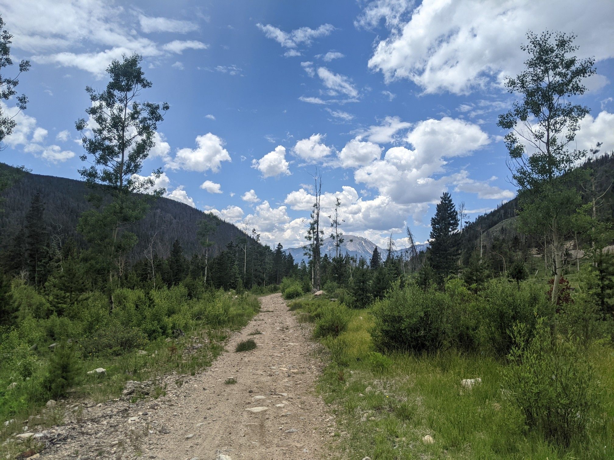 A dirt road winds through a green valley with distant mountains under a bright sky. - Straight Creek Trail