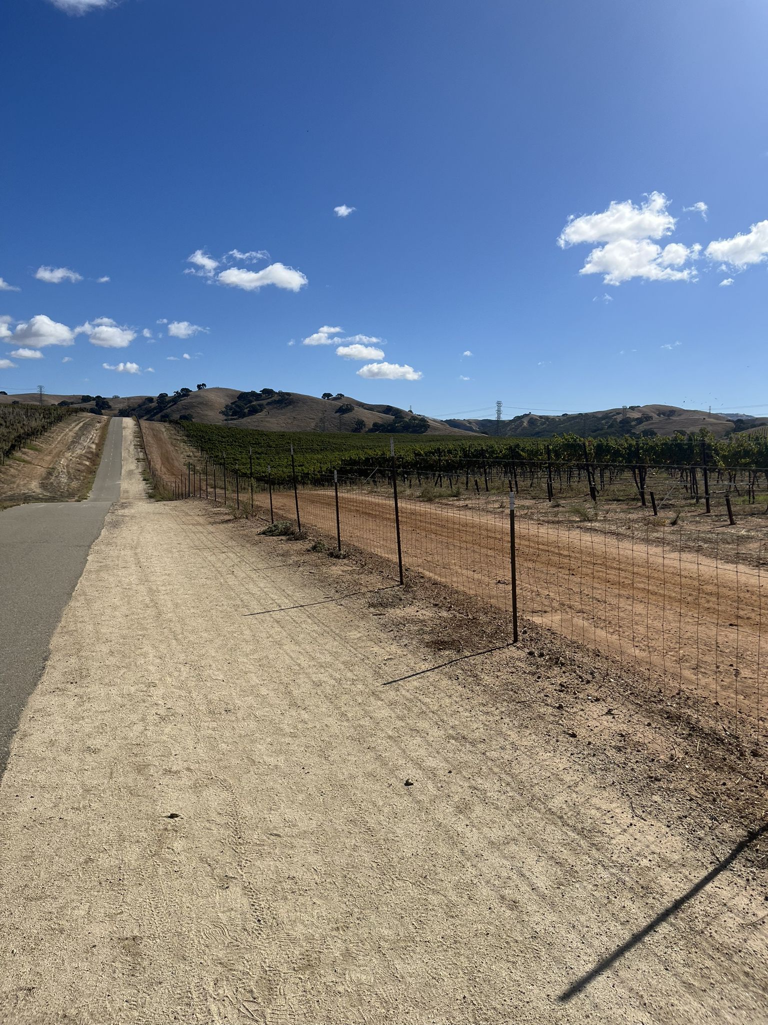 Dirt and paved paths beside a vineyard leading to rolling hills under a sunny sky. - Sycamore Grove Park – Olivina Gate loop from Livermore