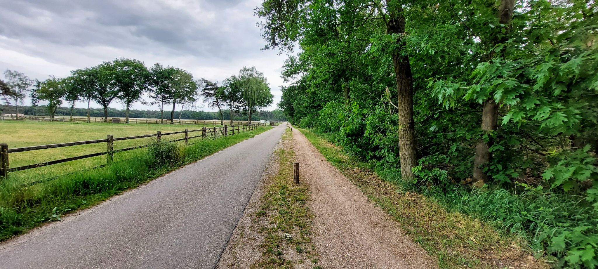 Een gravel fietspad naast het asfalt; in feite al de aanloop naar highlight "Gravel Heldense Bossen en Boekenderbos"