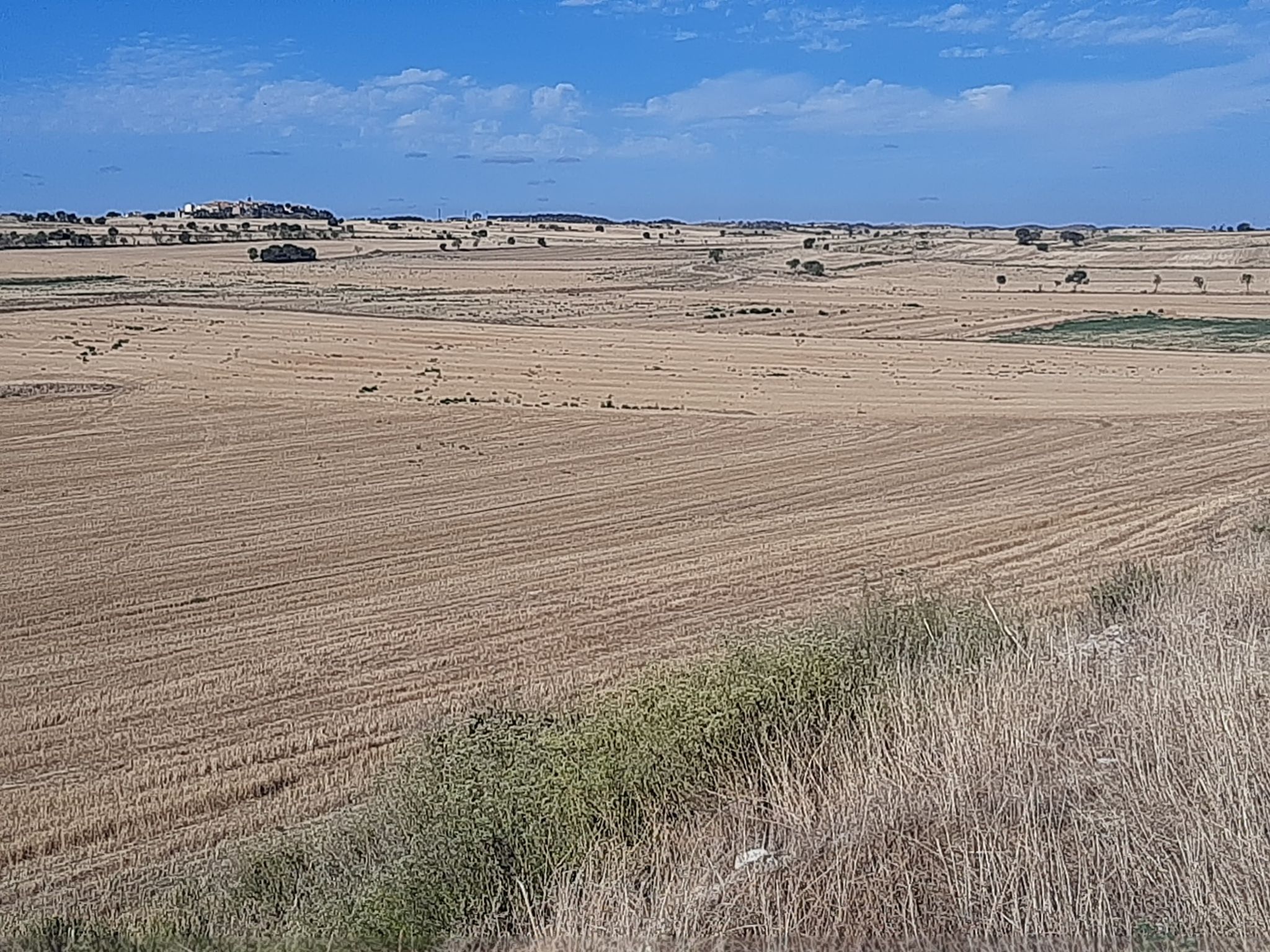 Vistes a Bellmunt d'Urgell