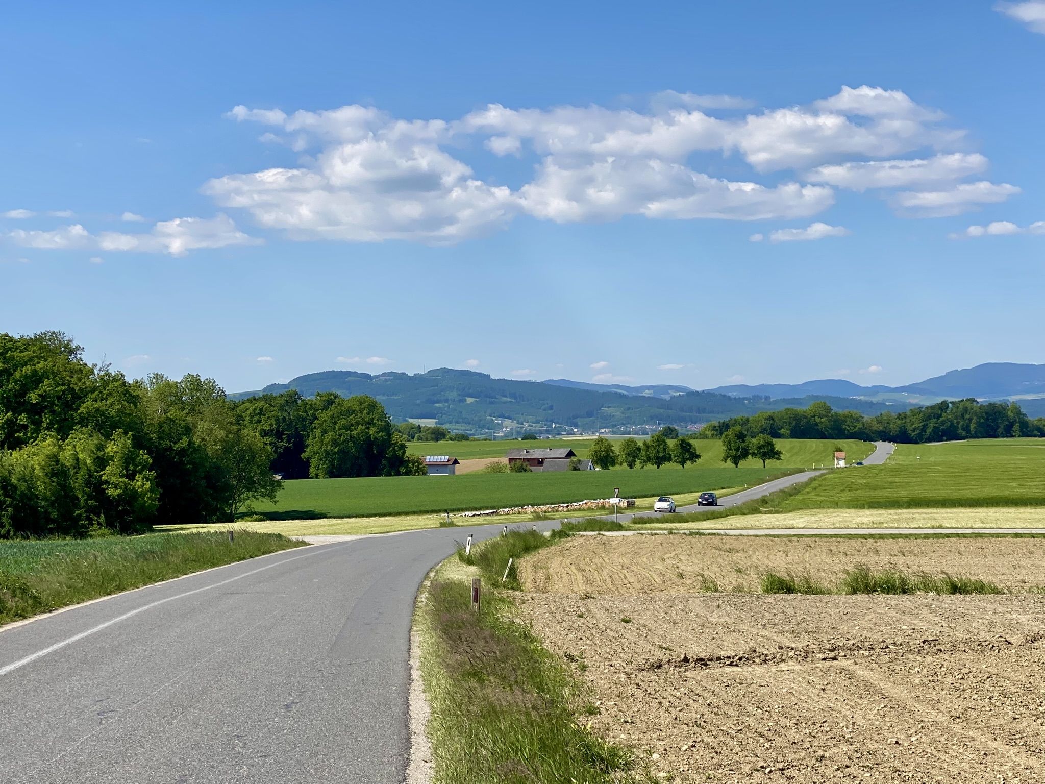 L6046: Blick zum Hengstberg