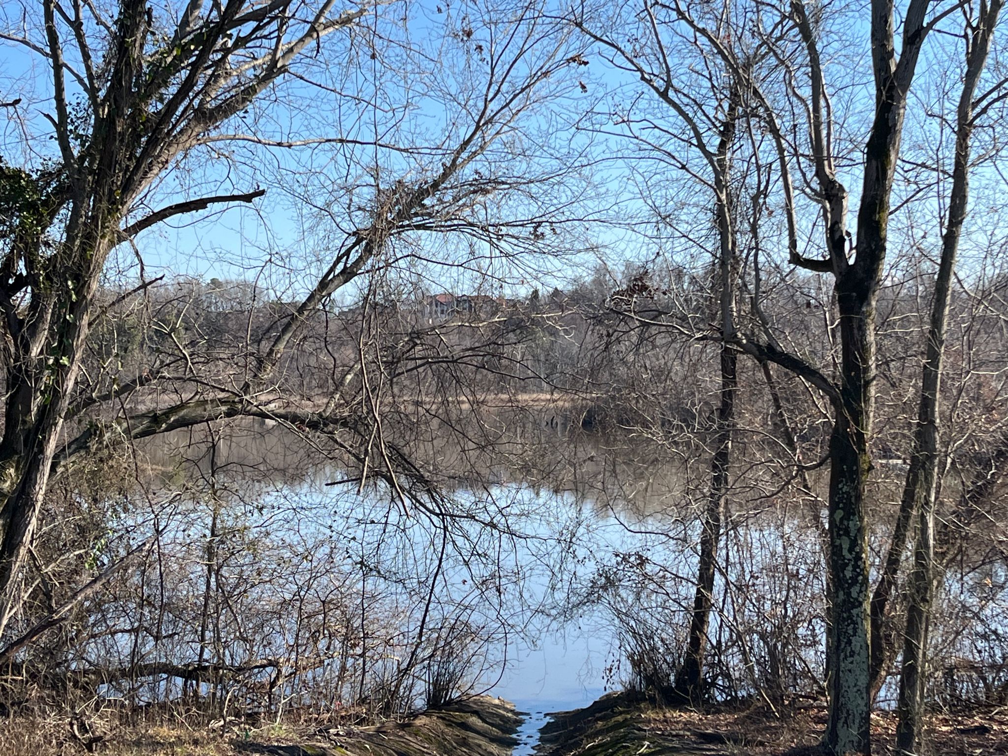 Calm water reflecting bare winter trees under a clear blue sky. - Dutch Gap Trail
