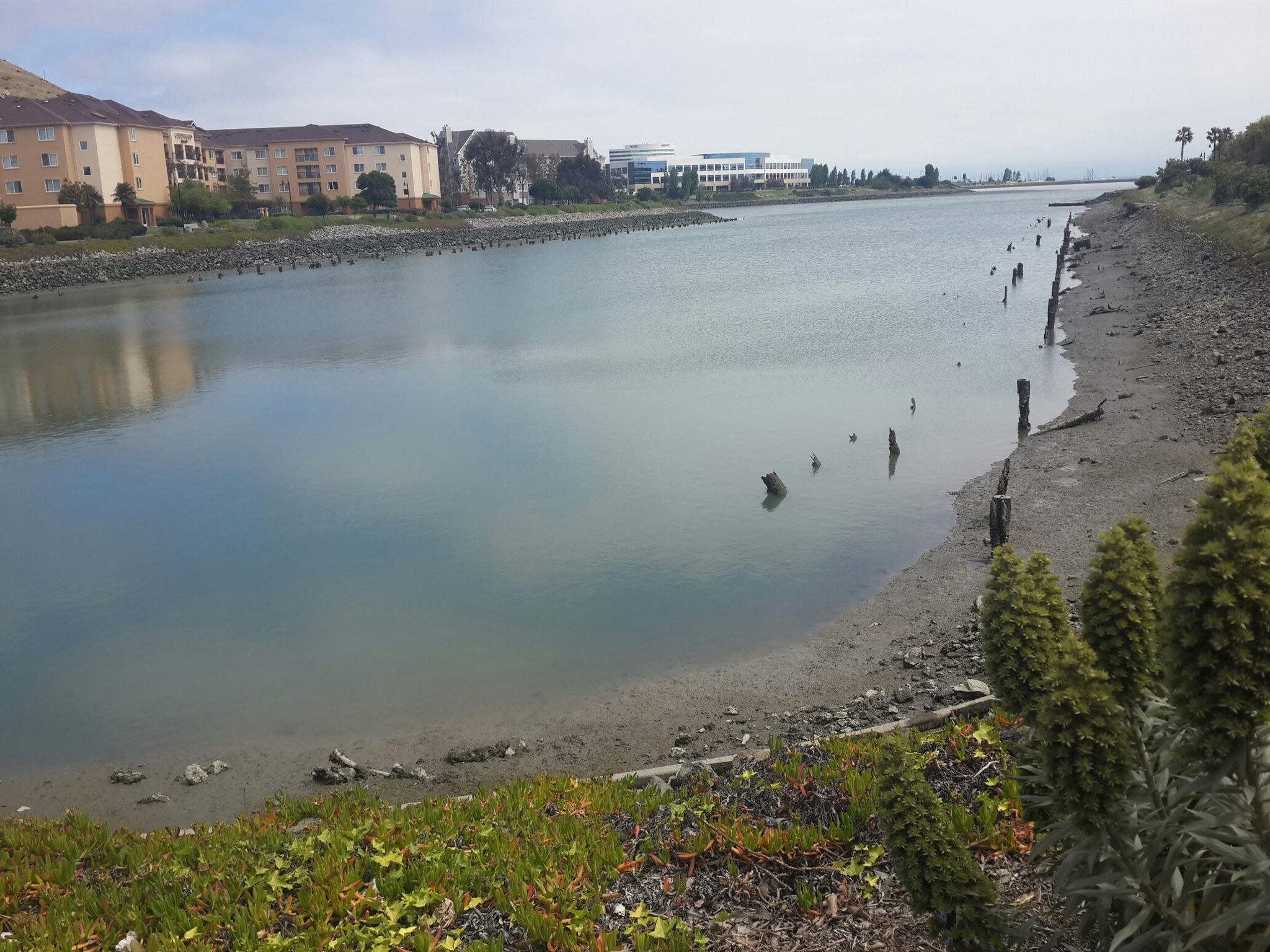 Oyster Point