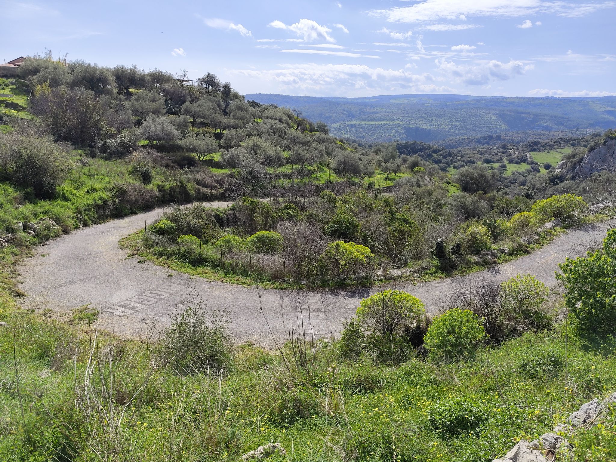 Serpentina, fine scritte dall'alto