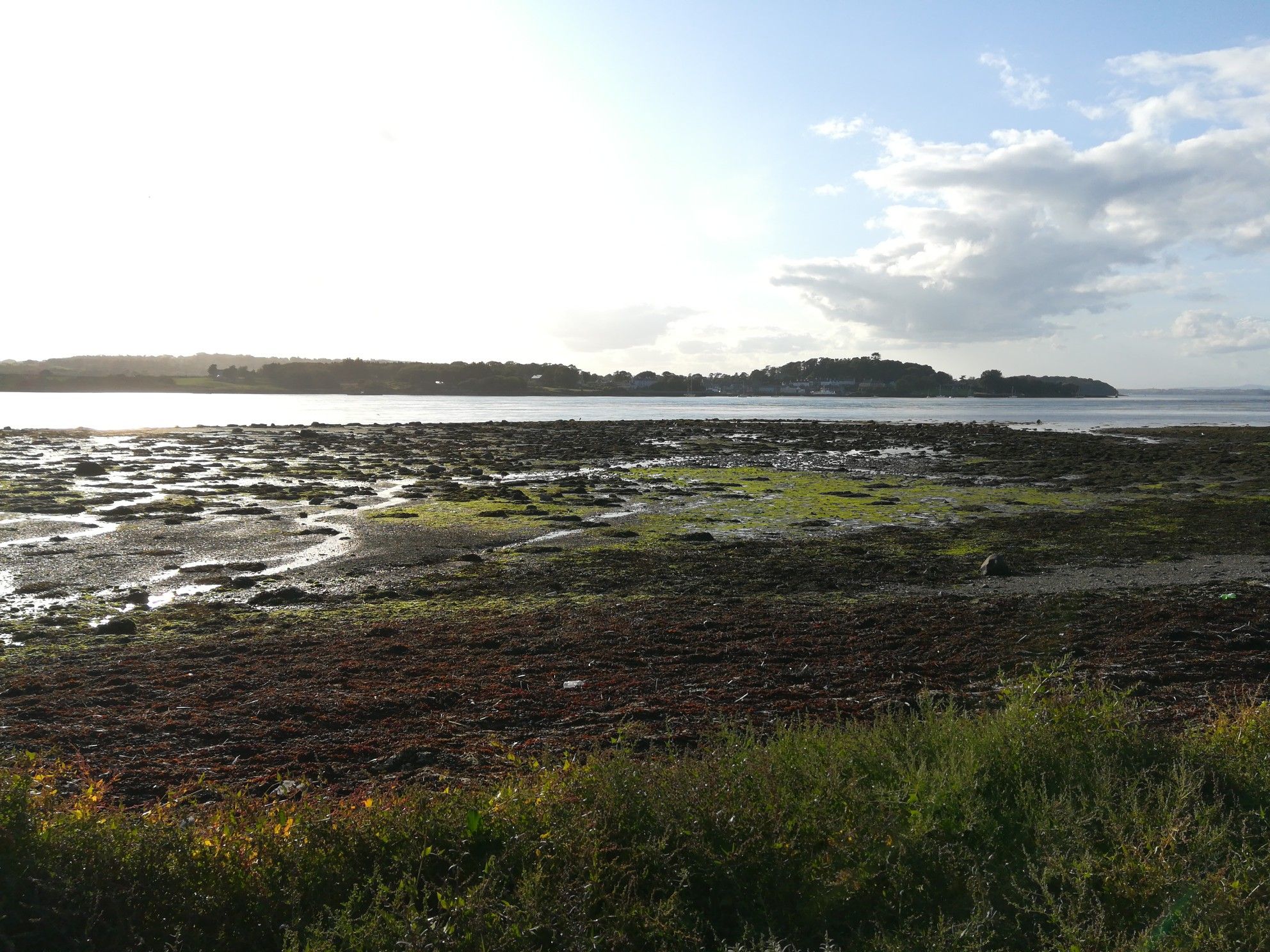 Aussicht auf Strangford
