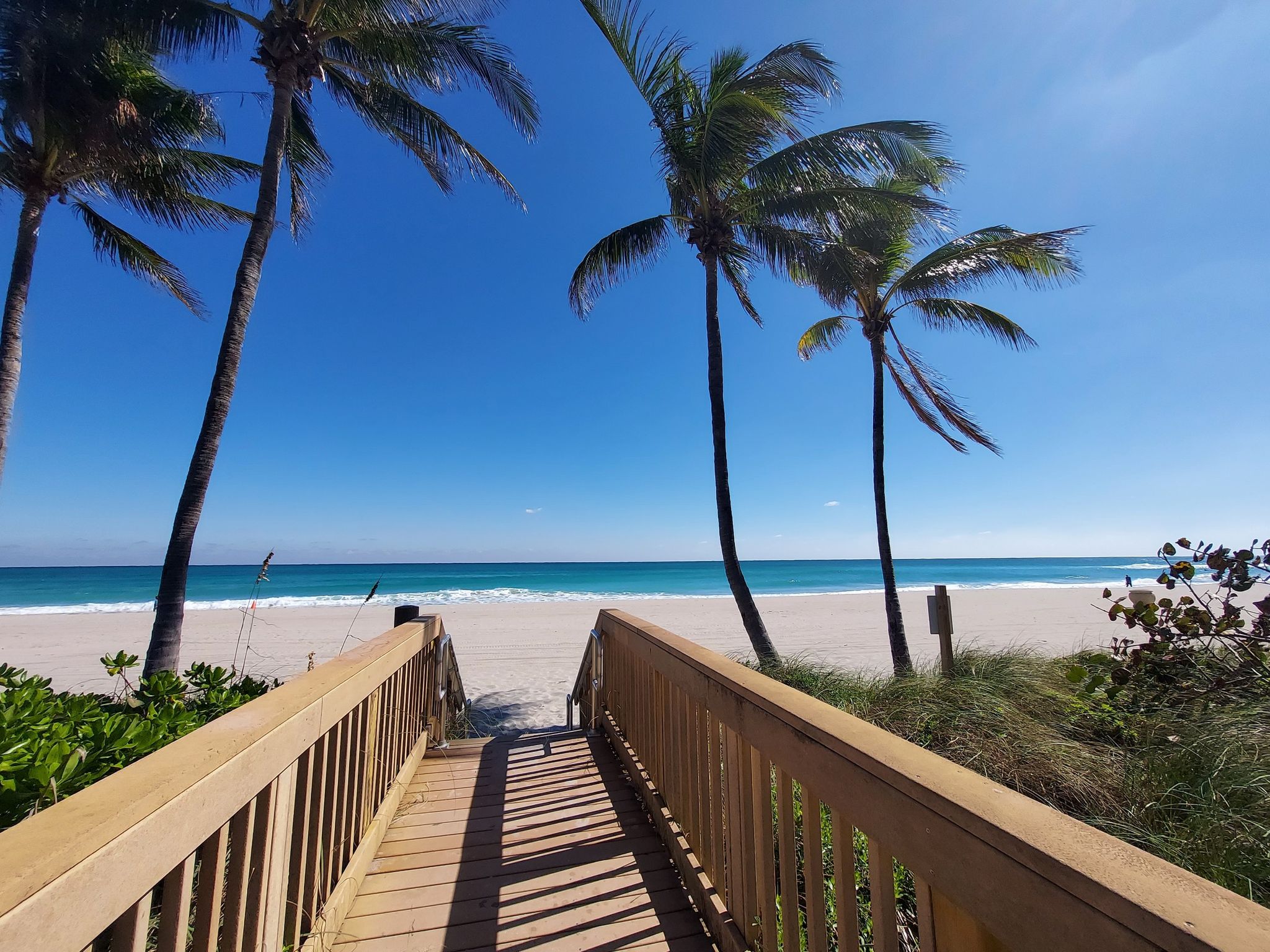 Wooden boardwalk leads to a sunny beach with palm trees and blue ocean. - Barrier Islands Greenway