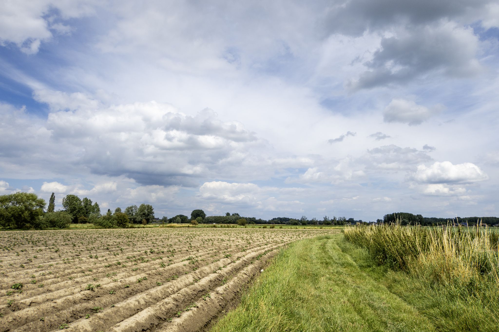 Over de bijna verdwenen Zijpwegel