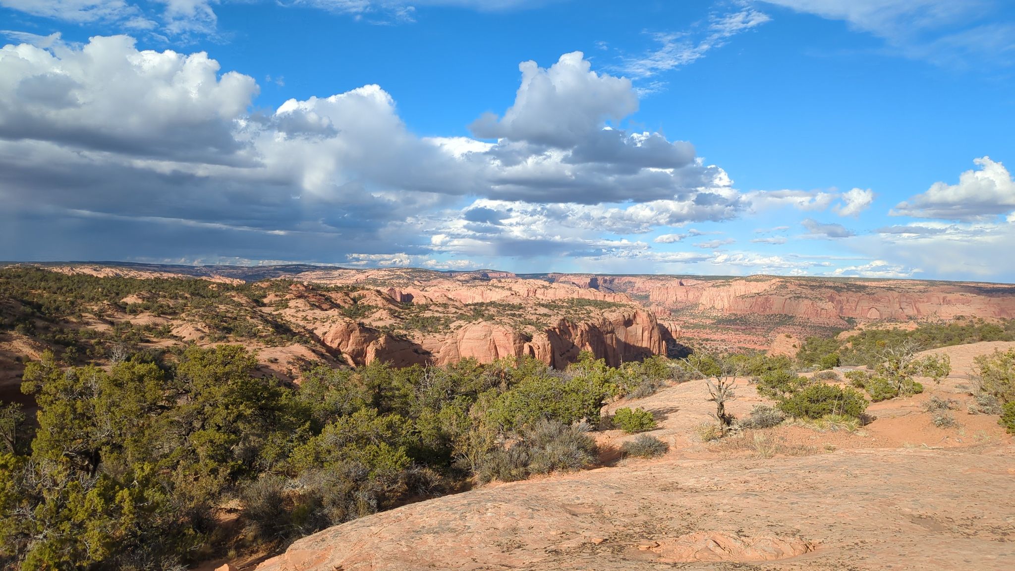 Expansive desert canyon landscape with sparse trees under a partly cloudy sky. - Betatakin Overlook loop from Navajo National Monument