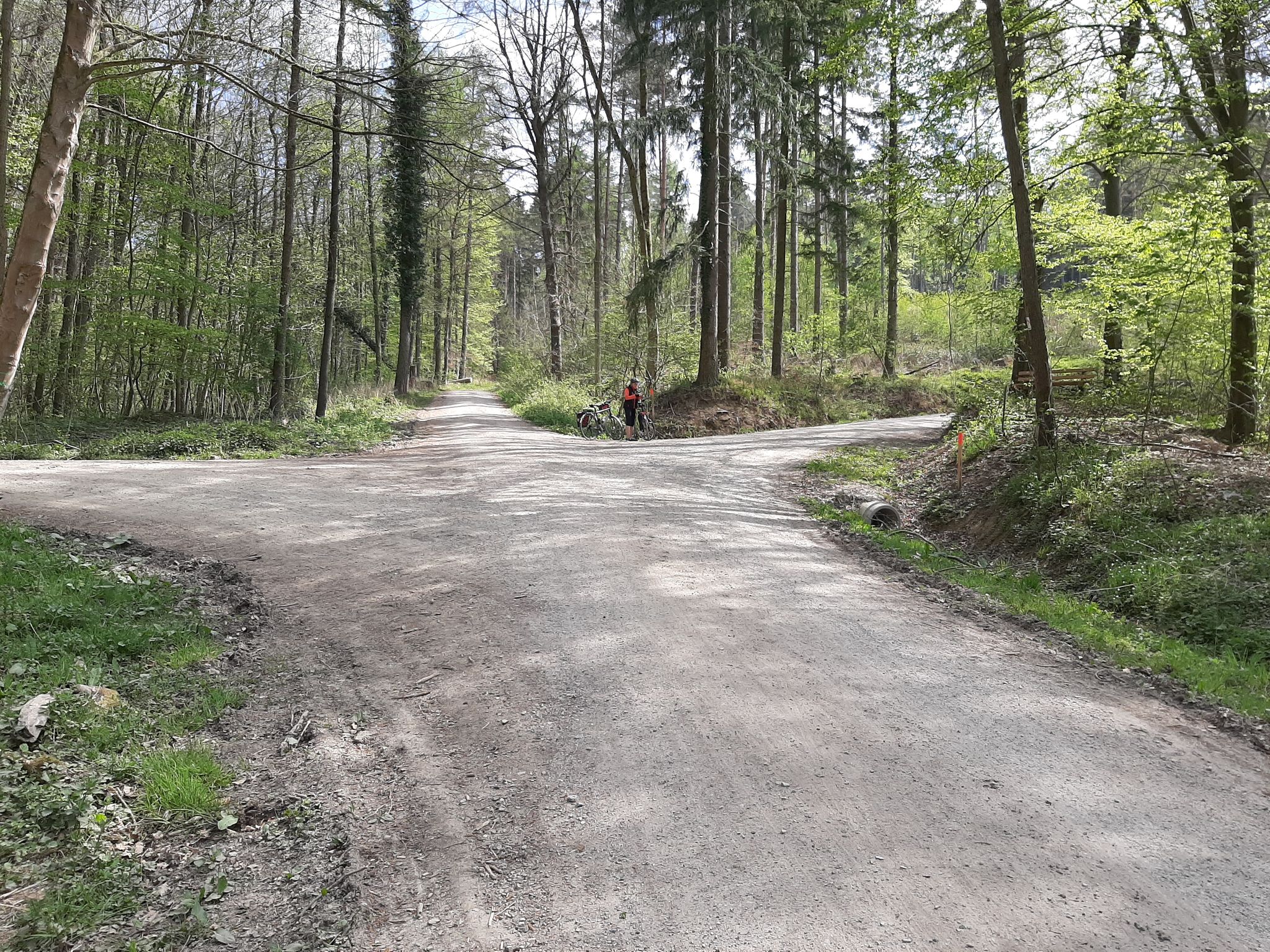 Im Beustertal: Rechts ab zum WHB Petze