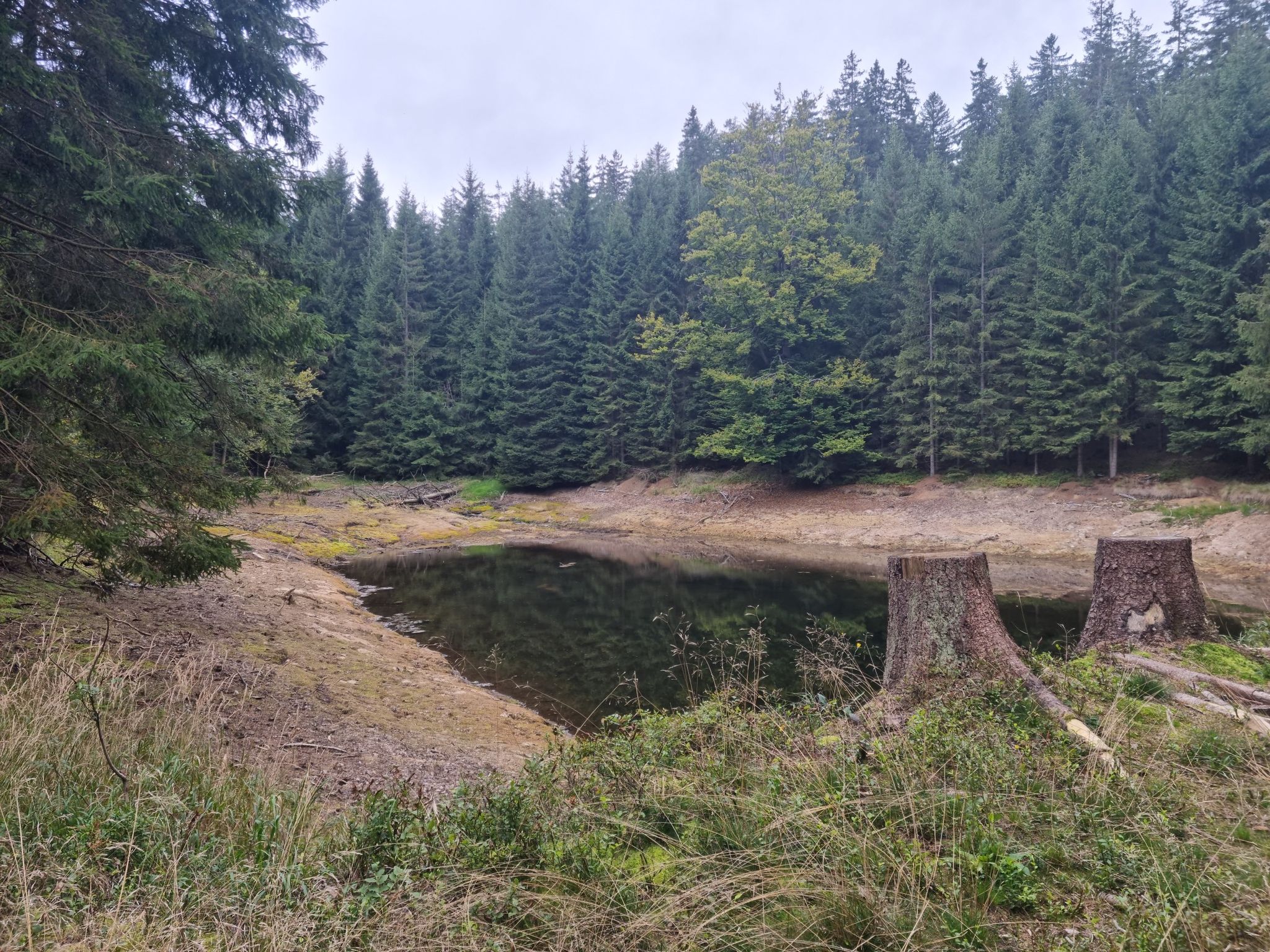 dieser kleine Weiher wartet suf den Herbstregen