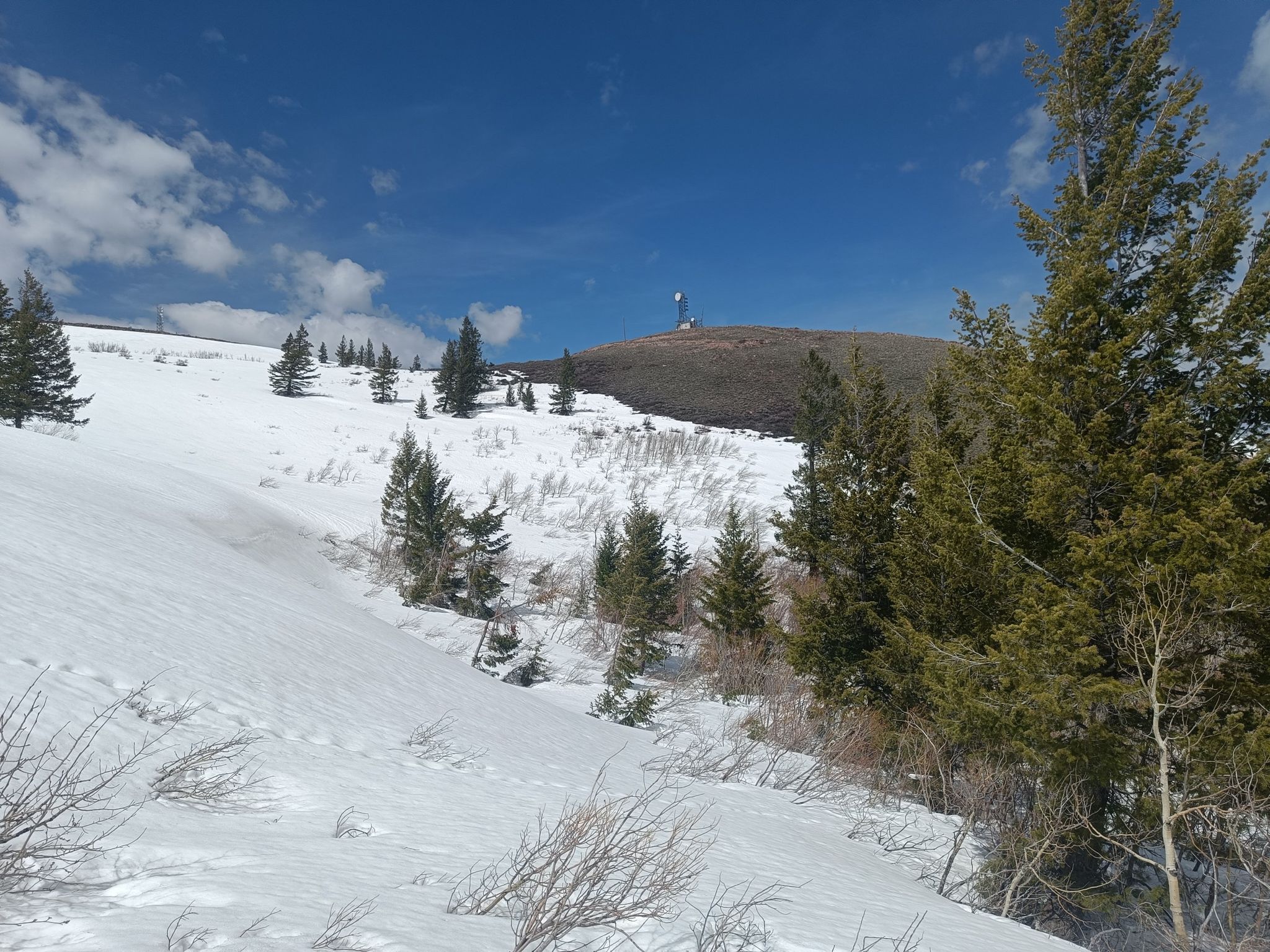 A snowy hillside with evergreen trees under a bright blue sky with clouds. - Kinport Peak via Cusick Creek Trail