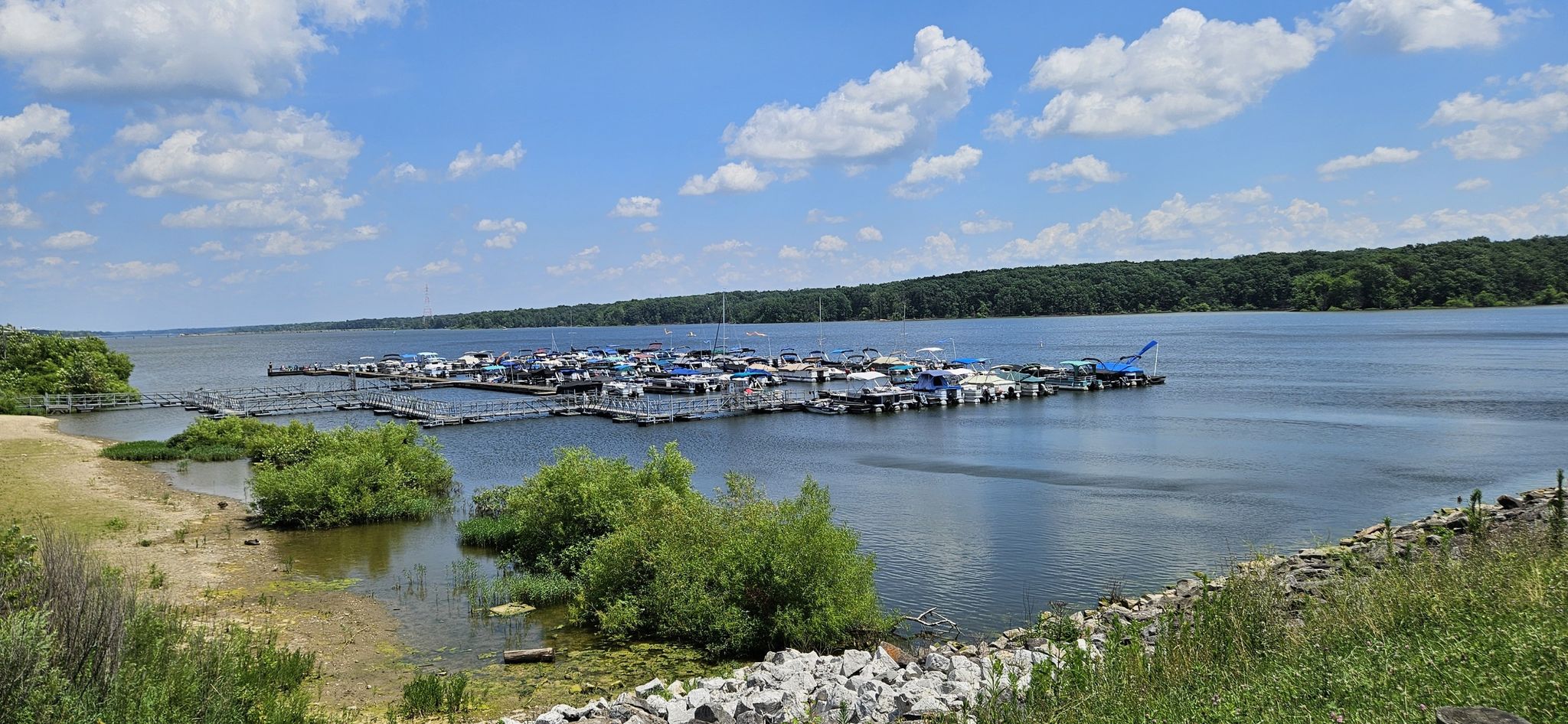 A sunny day shows a marina filled with boats on a wide lake. - Hoover Reservoir loop via 21;50 cycleways and Genoa Trail