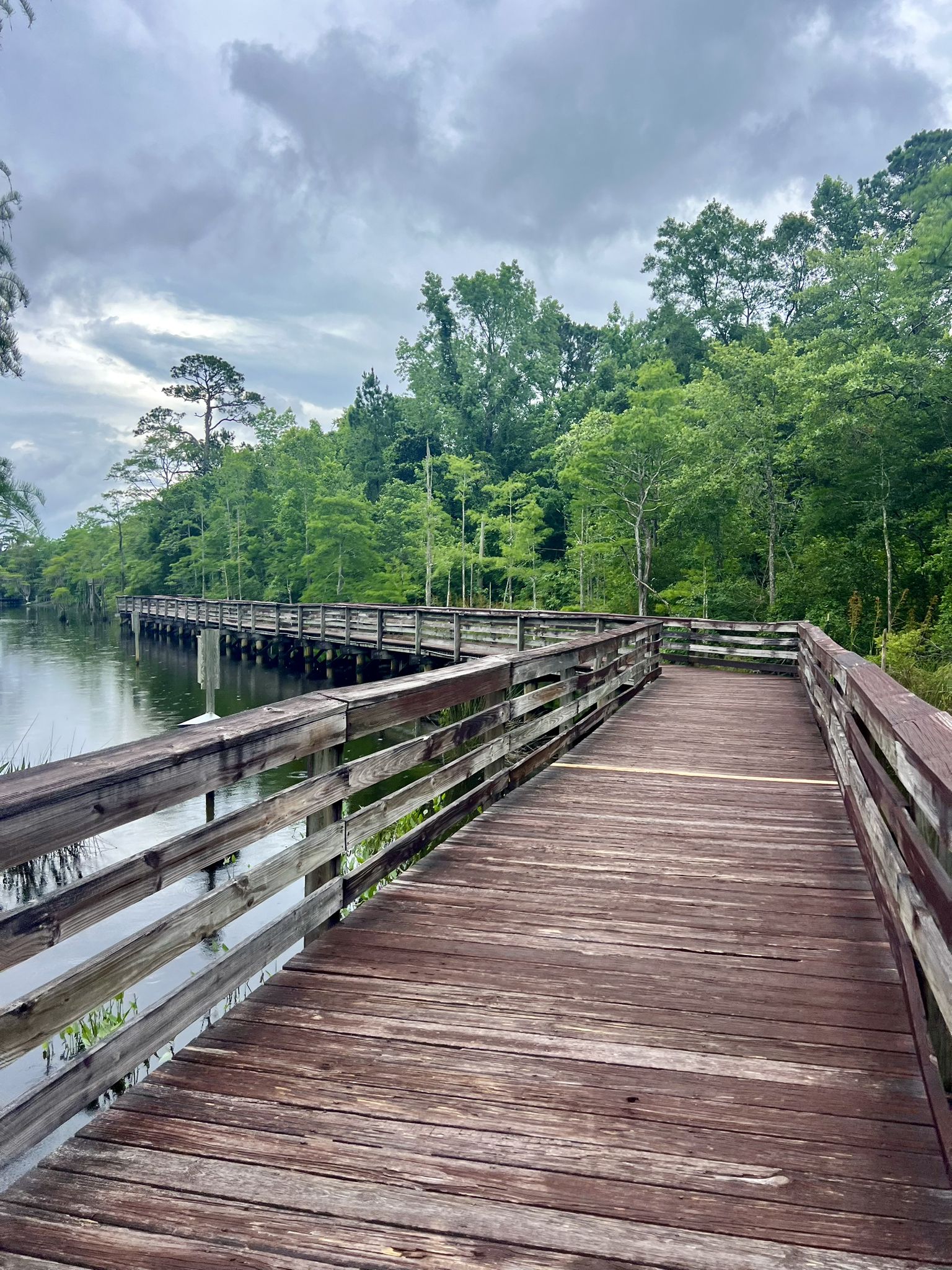 Wooden boardwalk extends over calm water with lush green trees under an overcast sky. - Bayou Boardwalk Loop