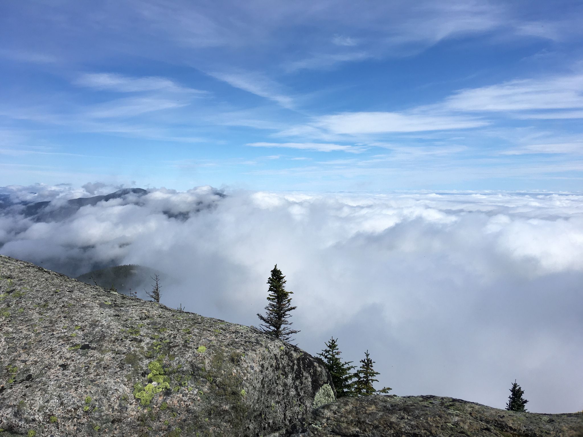 Rocky mountain peak rising above a sea of clouds under a blue sky. - Hough Peak via Hunters Pass, Lillian Brook, and Beckhorn Trail Loop